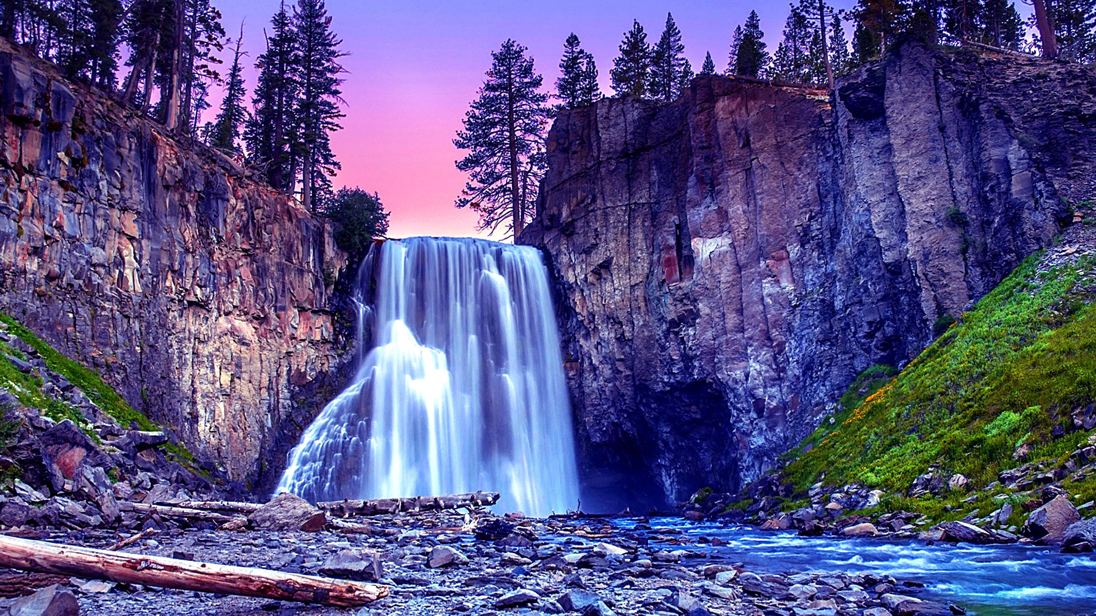 stunning, amazing, 4K, pines, forest, waterfall, HD Wallpaper