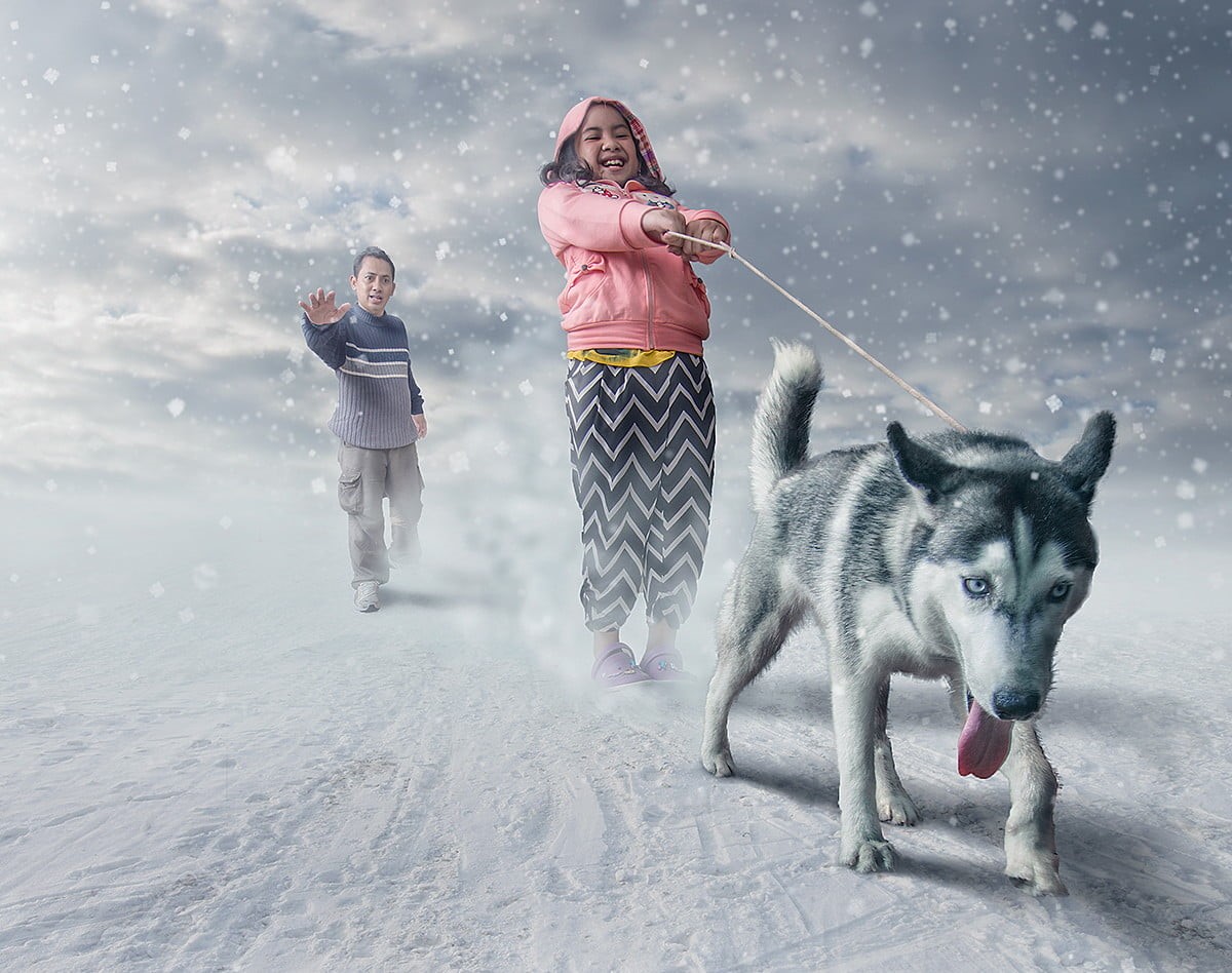pet owner, men, snowing, women, warm clothing, husky, siberian, winter, nature, canine, pets, children, animals, 480P, leisure activity, cold temperature, HD Wallpaper