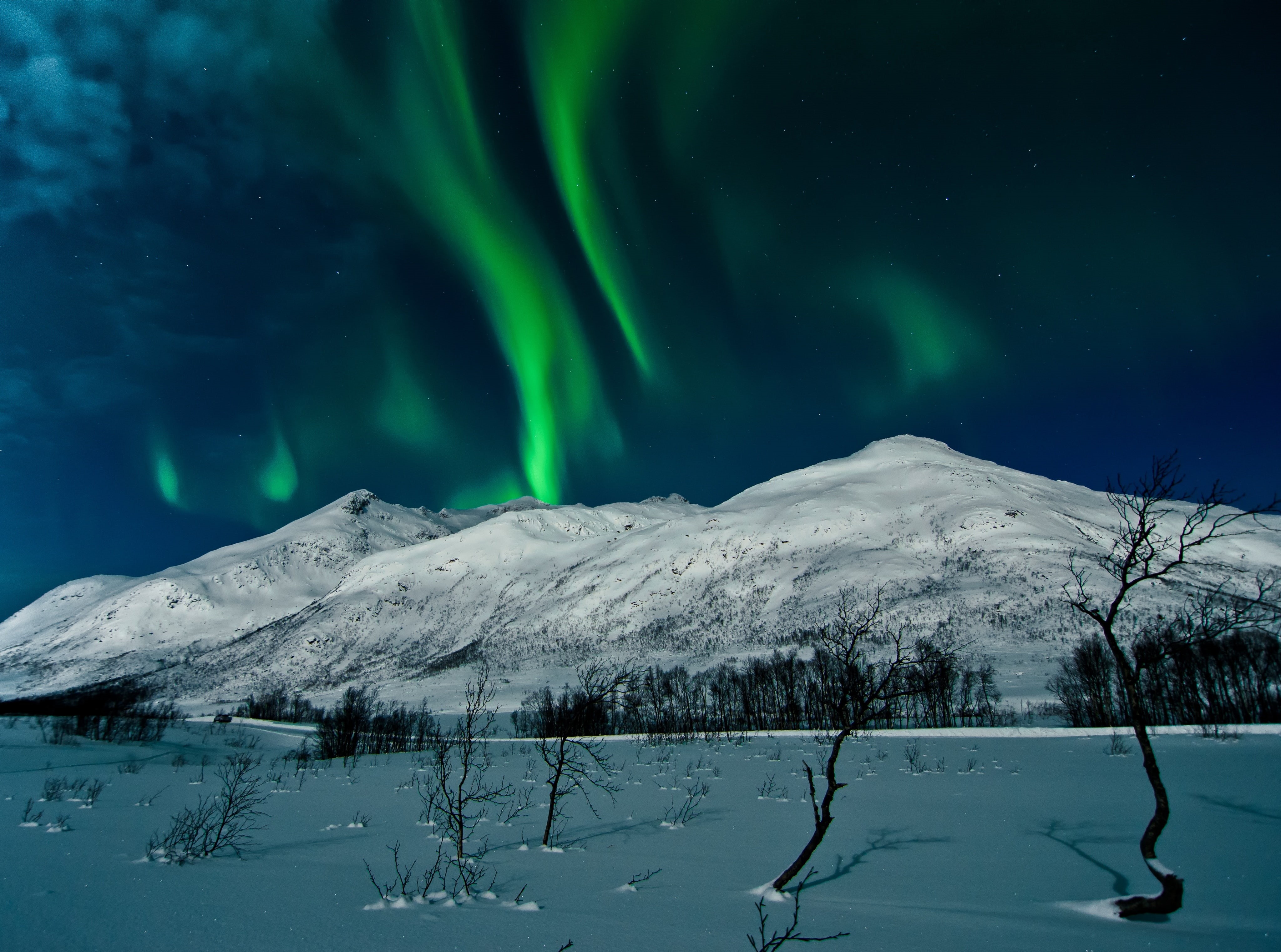 power in nature, frozen, night, snowcapped mountain, gray, scenics - nature, environment, auroraborealis, nature, aurora polaris, sky, snow, tranquil scene, HD Wallpaper