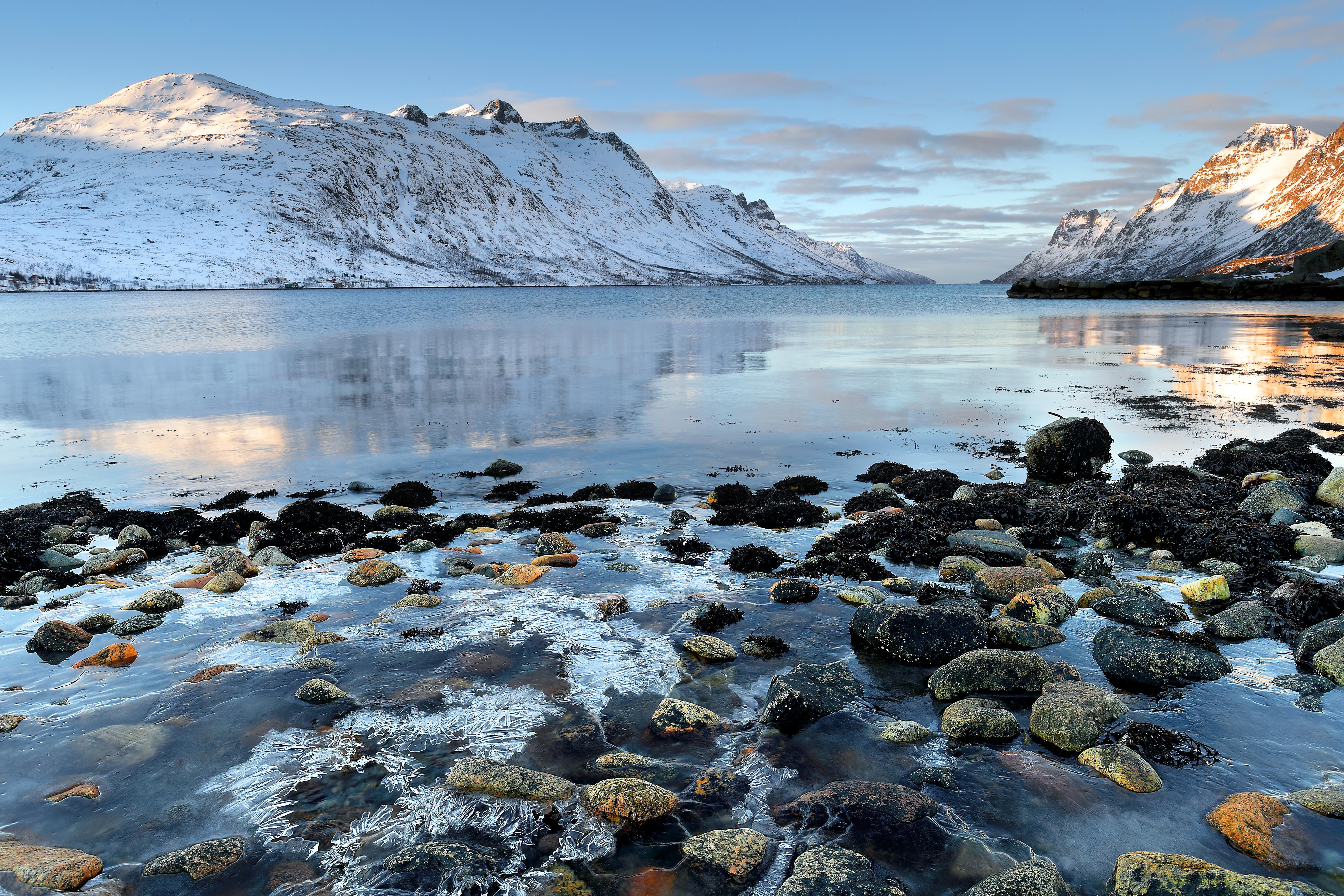 fiord, blue, mountain, snow, Scandinavia, lake, coast, water, body, nature, 5K, winter, landscape, covered, rock - Object, Ersfjordbotn, beside, Frozen Sea, HD Wallpaper
