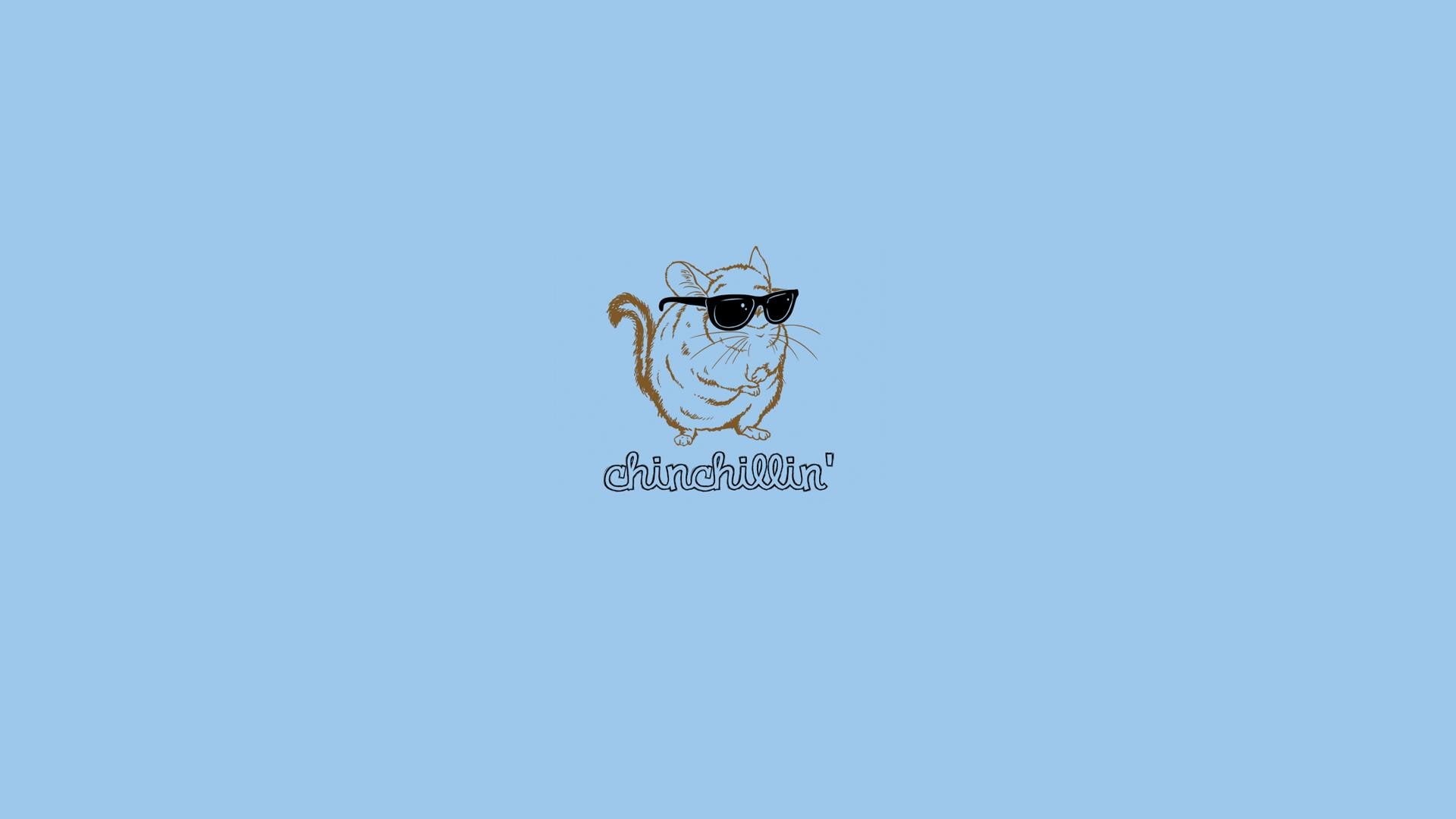 quote, blue, digital art, text, minimalism, 1080P, simple background, animals, humor, HD Wallpaper