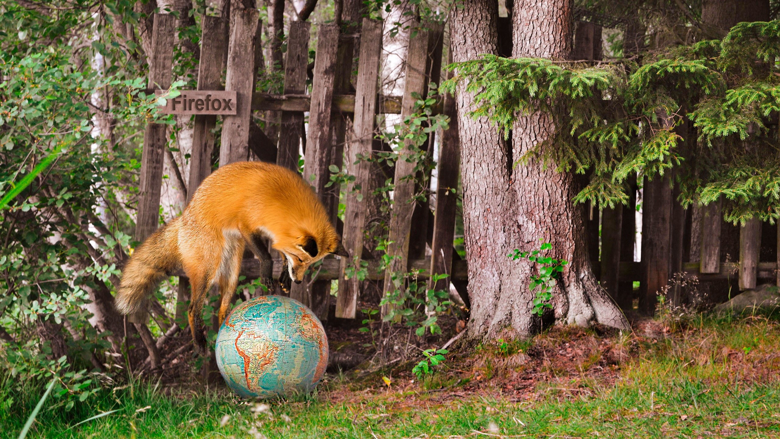 mozilla firefox, summer, 2K, Fox, HD Wallpaper