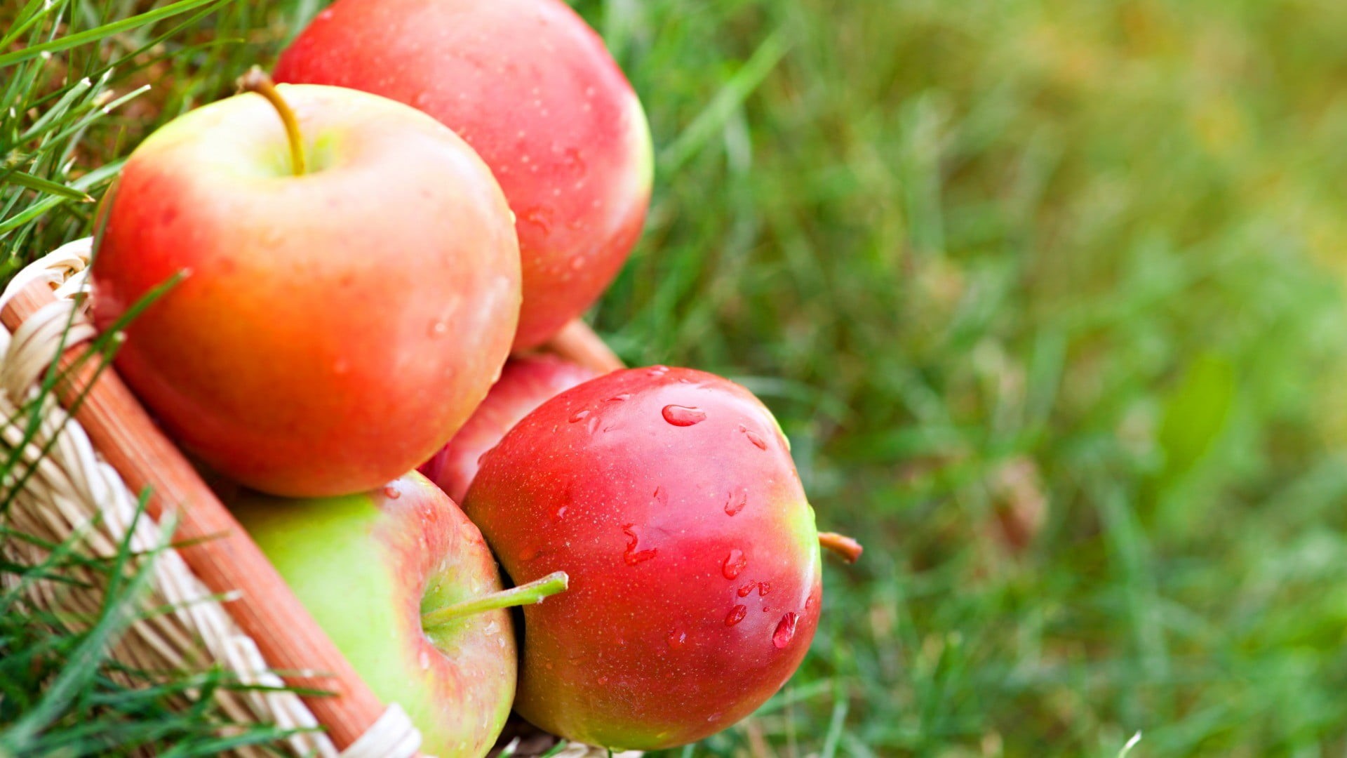 no people, healthy eating, nature, 1080P, group of objects, food and drink, red, wellbeing, fruits, agriculture, close-up, plant, tomato, fruit, green color, HD Wallpaper