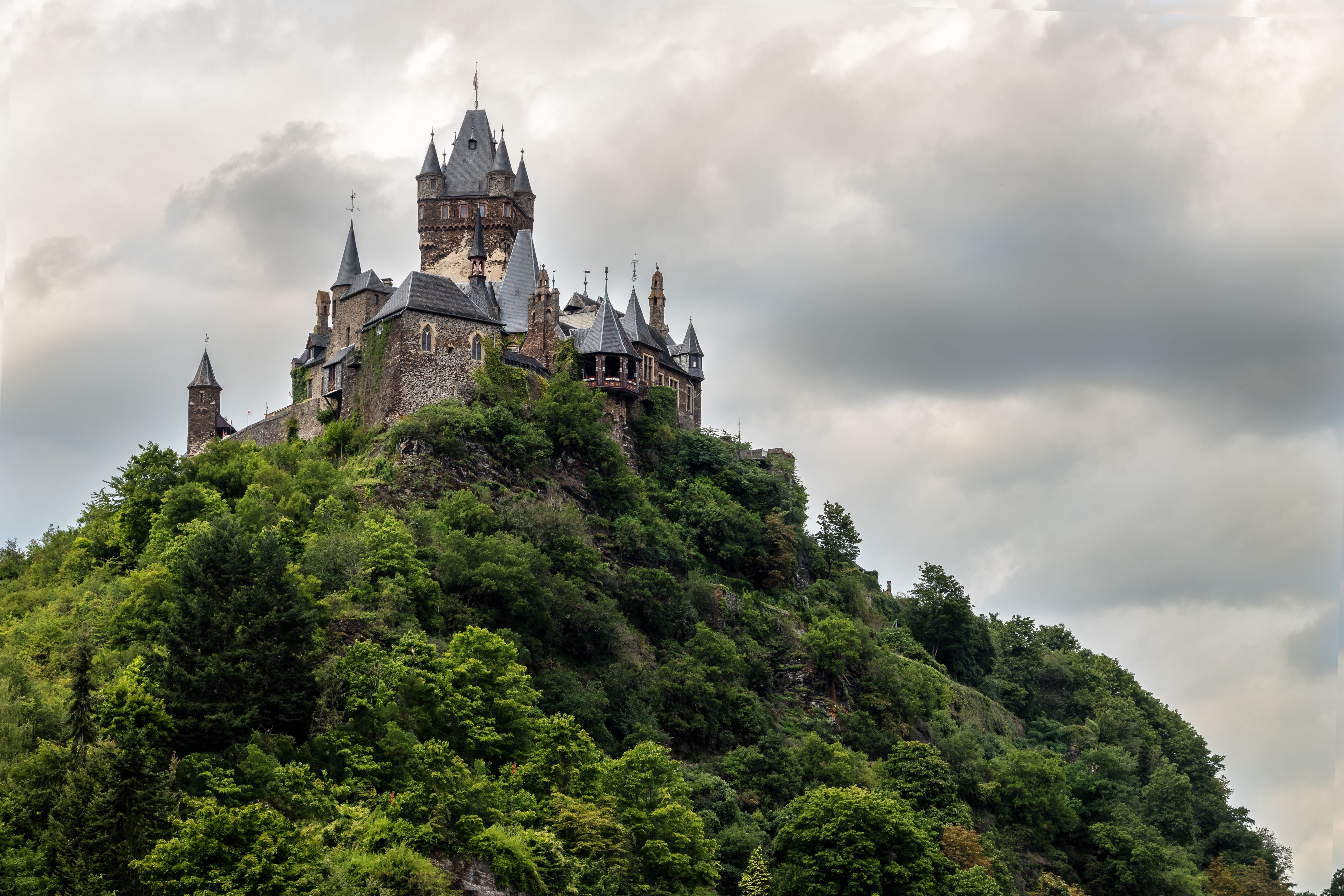 place of worship, tree, sachsen, belief, district of cochem zell, imposing, low angle view, sky, landmark, travel destinations, outdoors, germany, architecture, HD Wallpaper