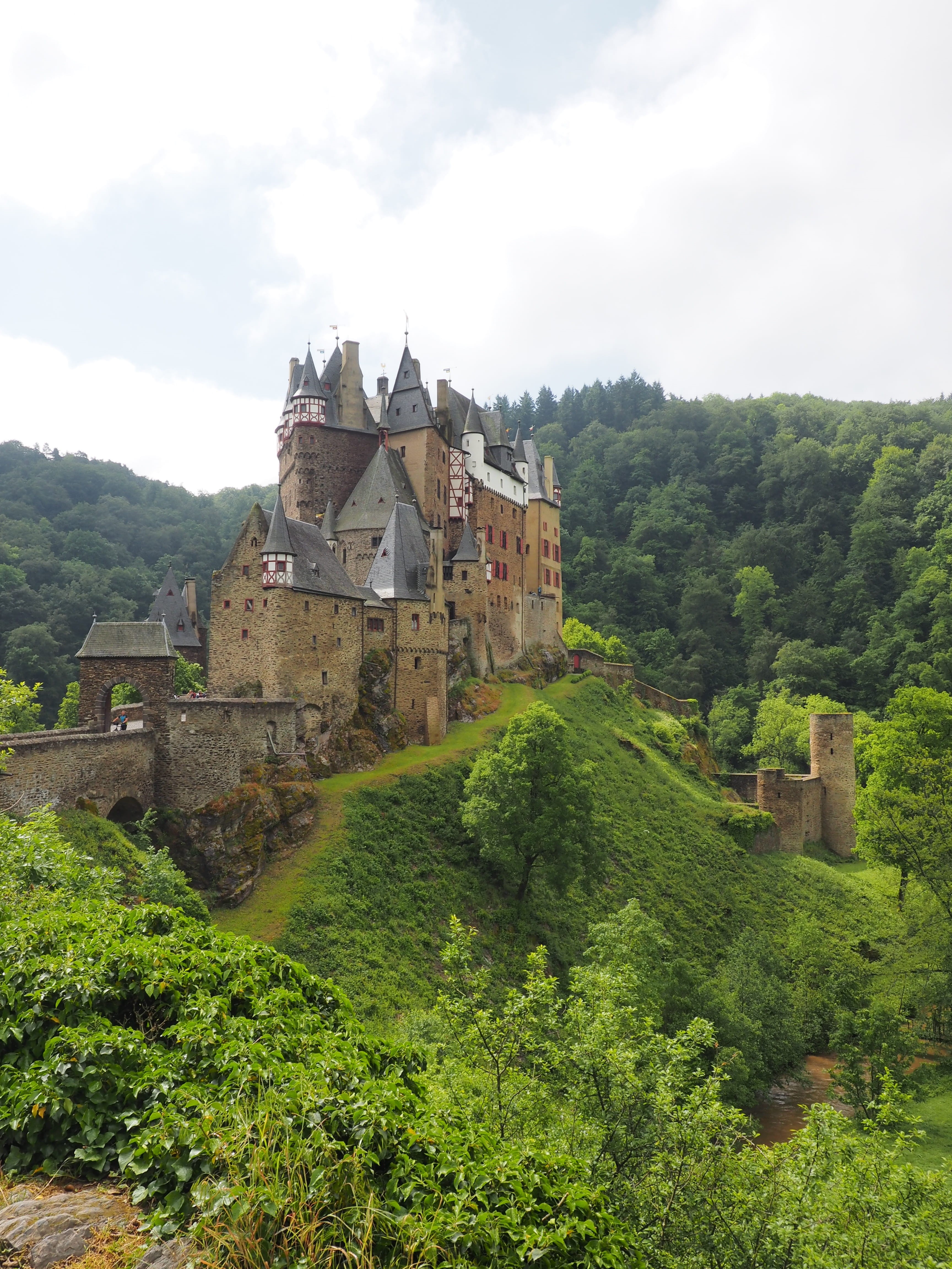 outdoors, plant, scenics - nature, tree, history, cloud - sky, knights castle, growth, building, building exterior, no people, the past, 4K, sky, castles, Phone HD Wallpaper