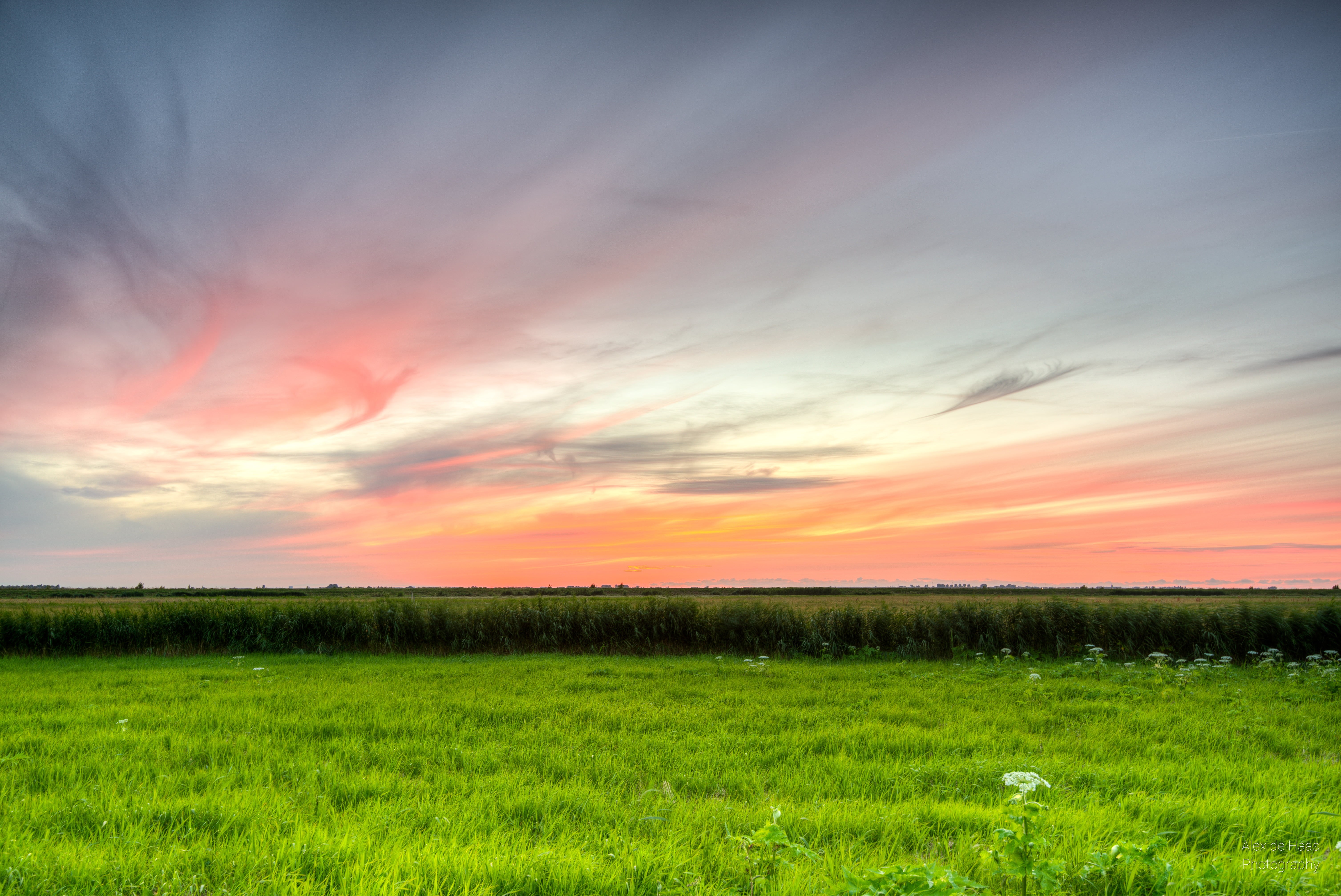 yellow, season, meadows, nature, blue, fields, Nederlands, 5K, sunlight, weiden, dusk, outdoors, green fields, sky, lucht, Marken, summer, sun, cloud - Sky, HD Wallpaper