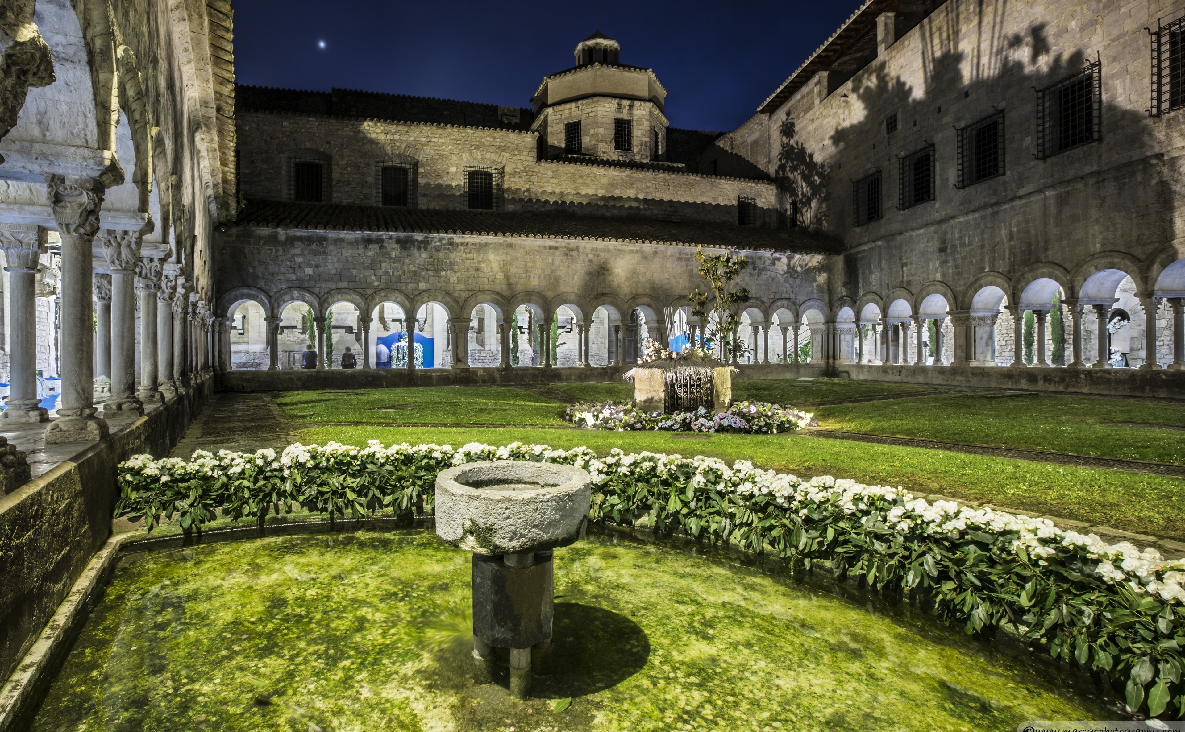 cloisters, grass, Europe, green color, catalonia, courtyard, Spain, architectural column, travel destinations, built structure, building, old, cathedral, HD Wallpaper