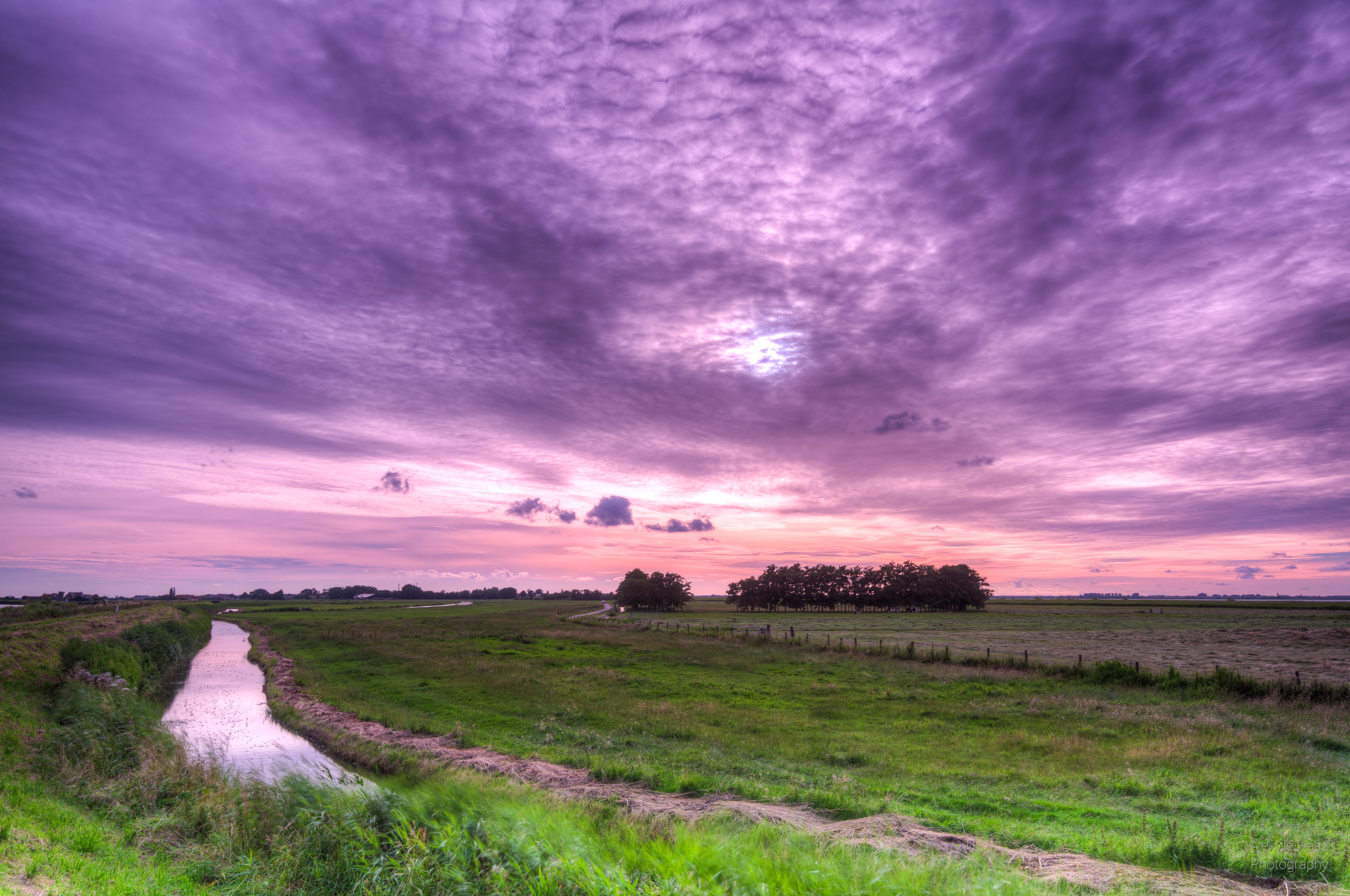 surrounded, ditch, green grass, sky, water, HDR, grass field, Pink, Nederlands, Noord-Holland, field, lucht, Whos afraid, lake, Marken, beautiful, Purple, HD Wallpaper