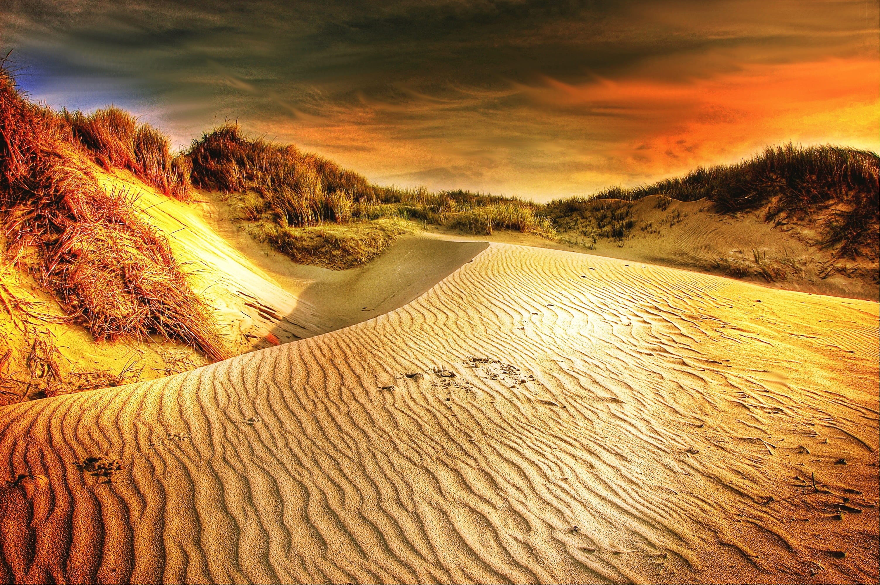 north sea, outdoors, by the sea, idyllic, dune ridge, scenics - nature, sun, clouds, hour, climate, silent, sand dune, coast, plant, non-urban scene, day, HD Wallpaper