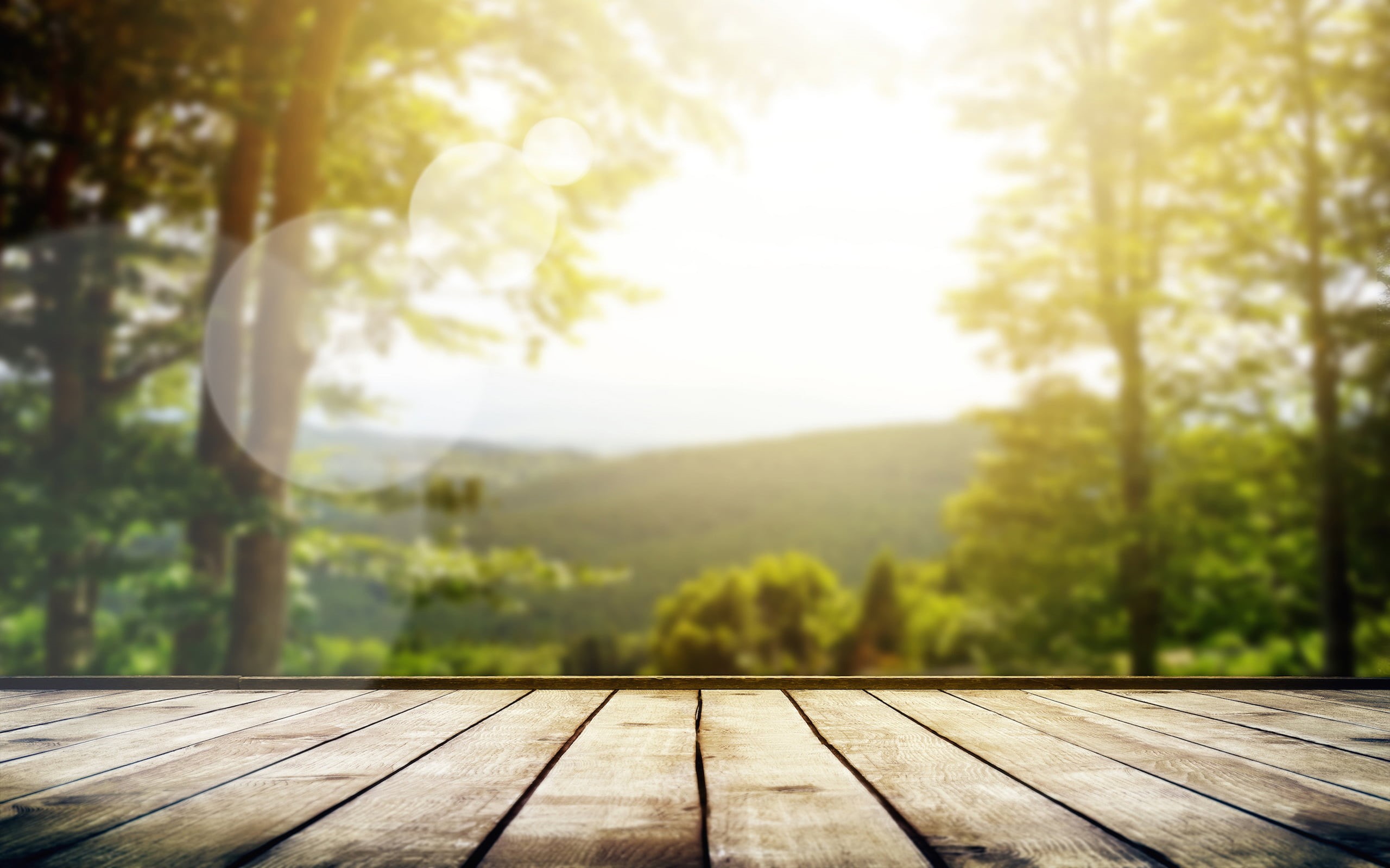 desk, trees, woodland, sunny, growth, focus, lens, Board, sunbeam, space, backgrounds, sunlight, brown, rustic, macro, sky, backdrop, wood, bokeh, the sky, HD Wallpaper
