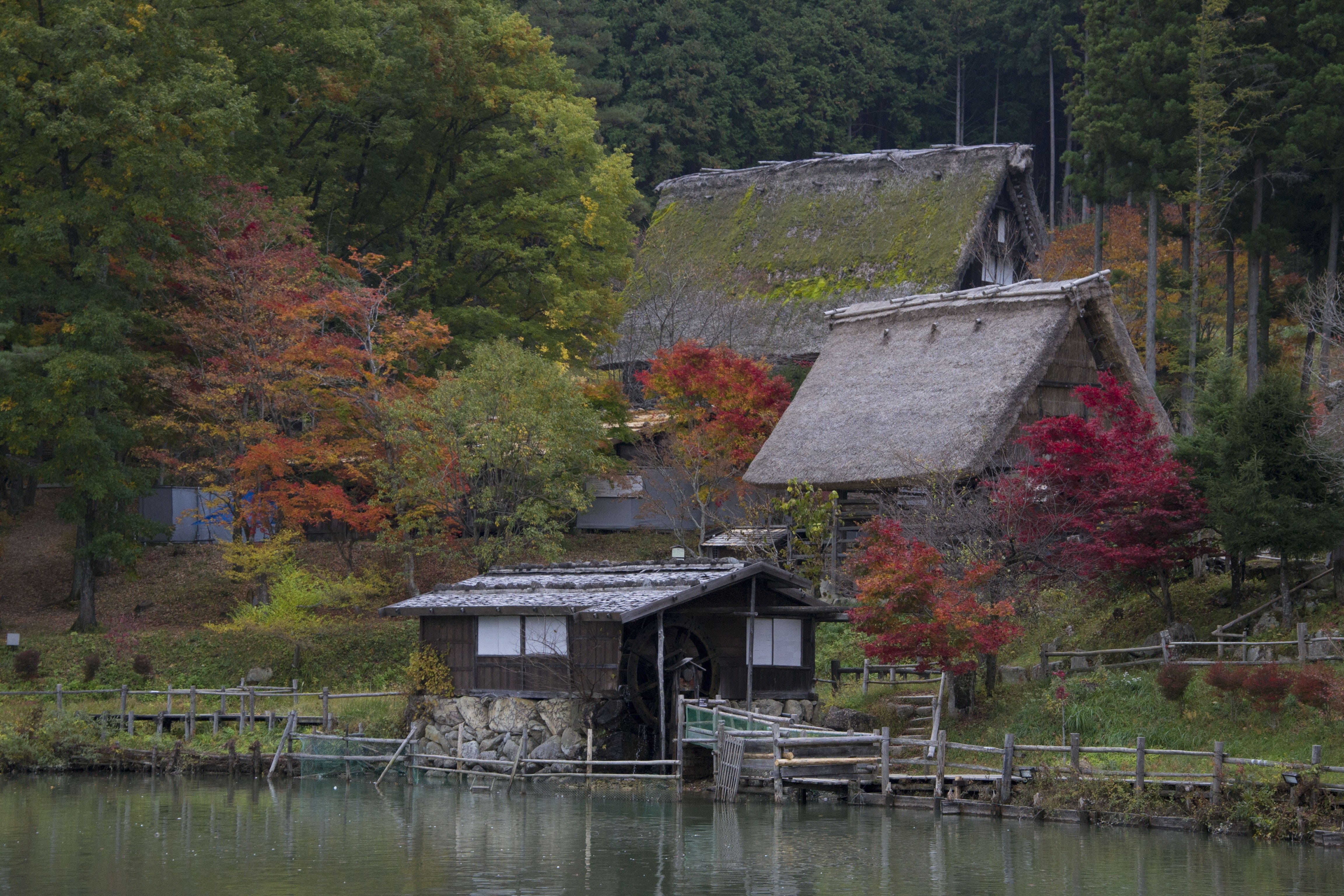 lake, nature, river, forest, outdoors, village, building, Mill, rural Scene, 4K, relaxation, change, japanese garden, plant, Japan, no people, Tranquility, HD Wallpaper