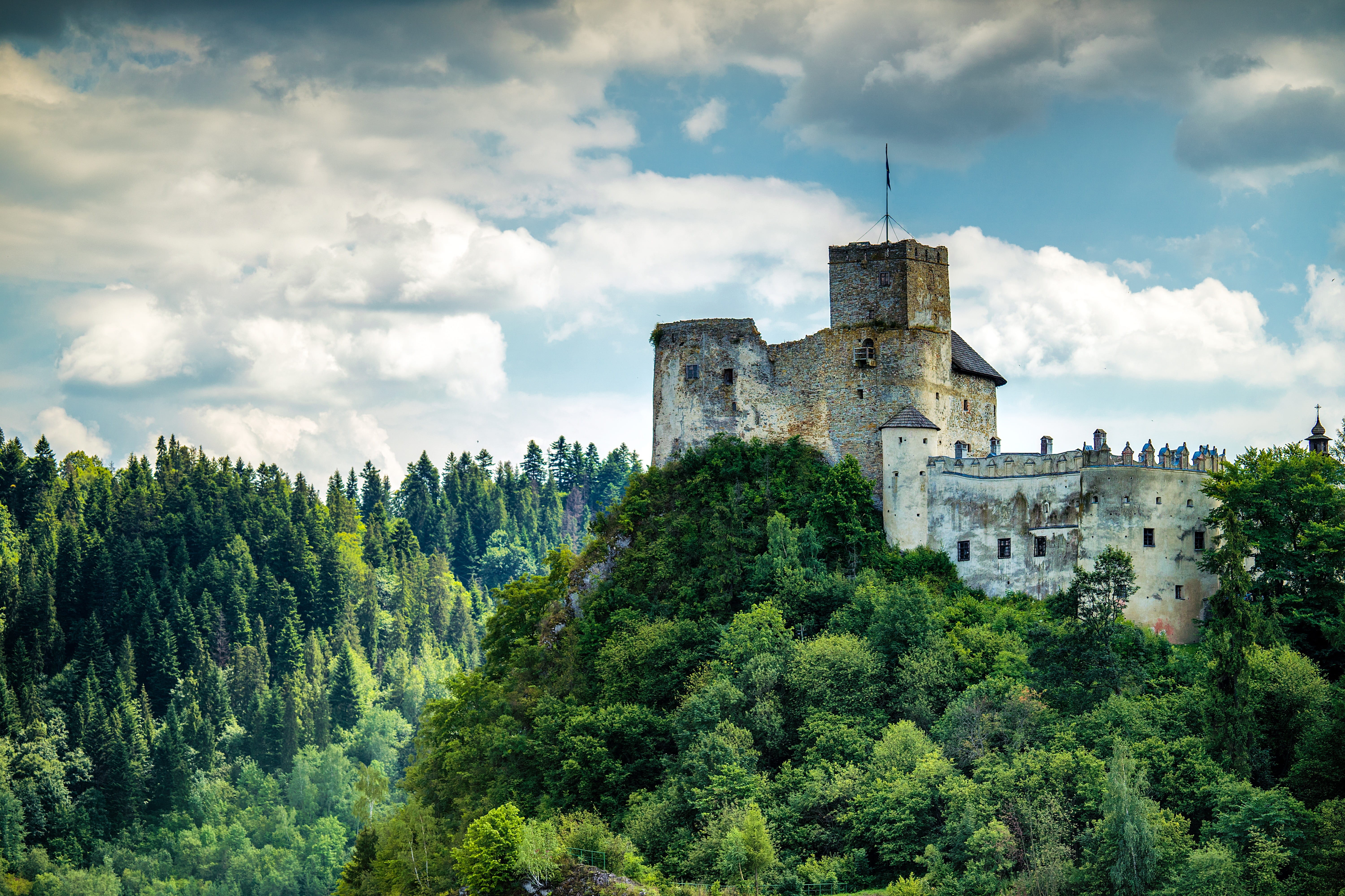 day, built structure, exterior, clouds, 5K, forest, fort, historical, green, sunny, high, history, old, wall, stone, culture, outdoors, colorful, holidays, HD Wallpaper