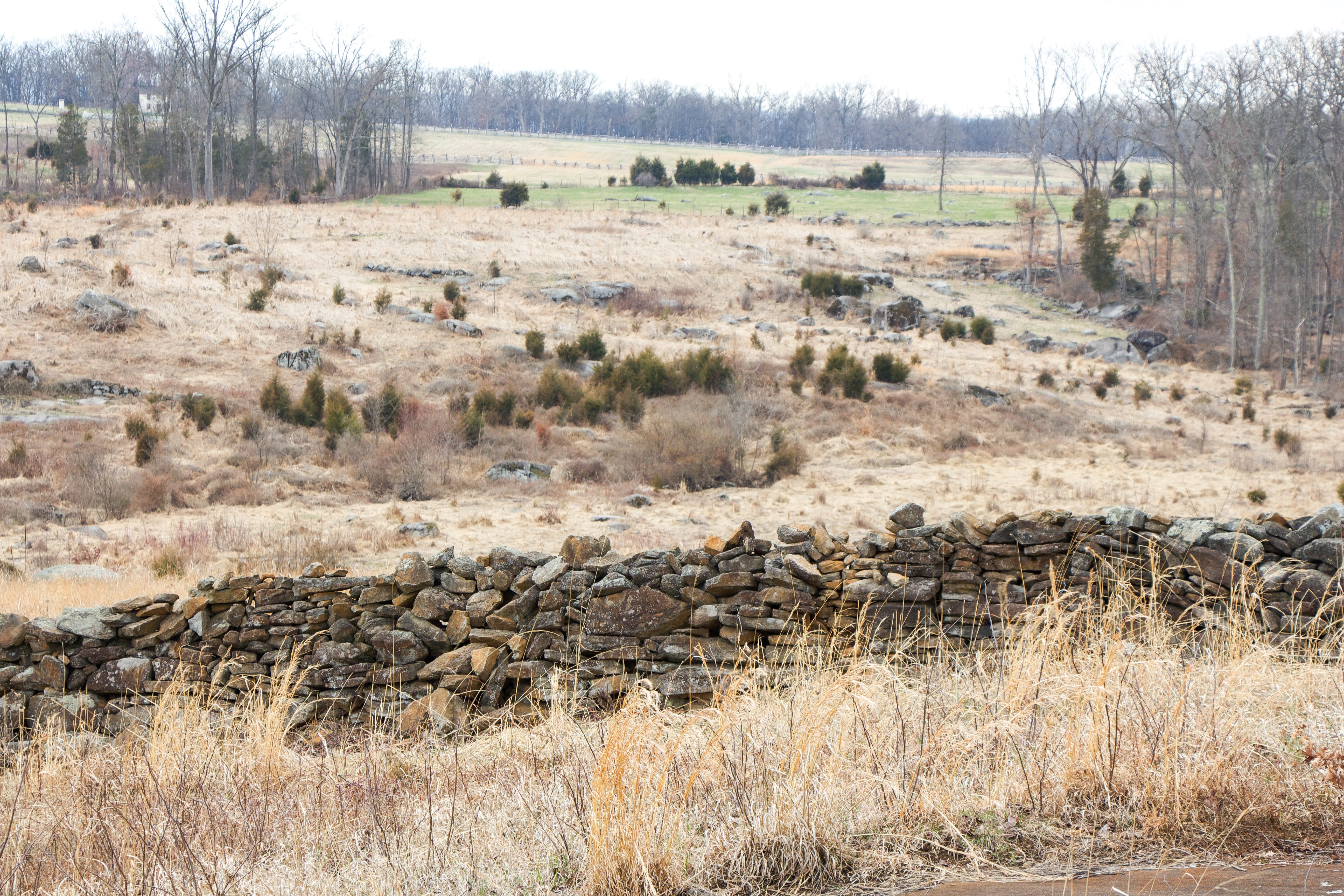 gettysburg, animals in the wild, historic, united, large group of animals, animal, non-urban scene, monument, memorial, animal themes, outdoors, civil, HD Wallpaper