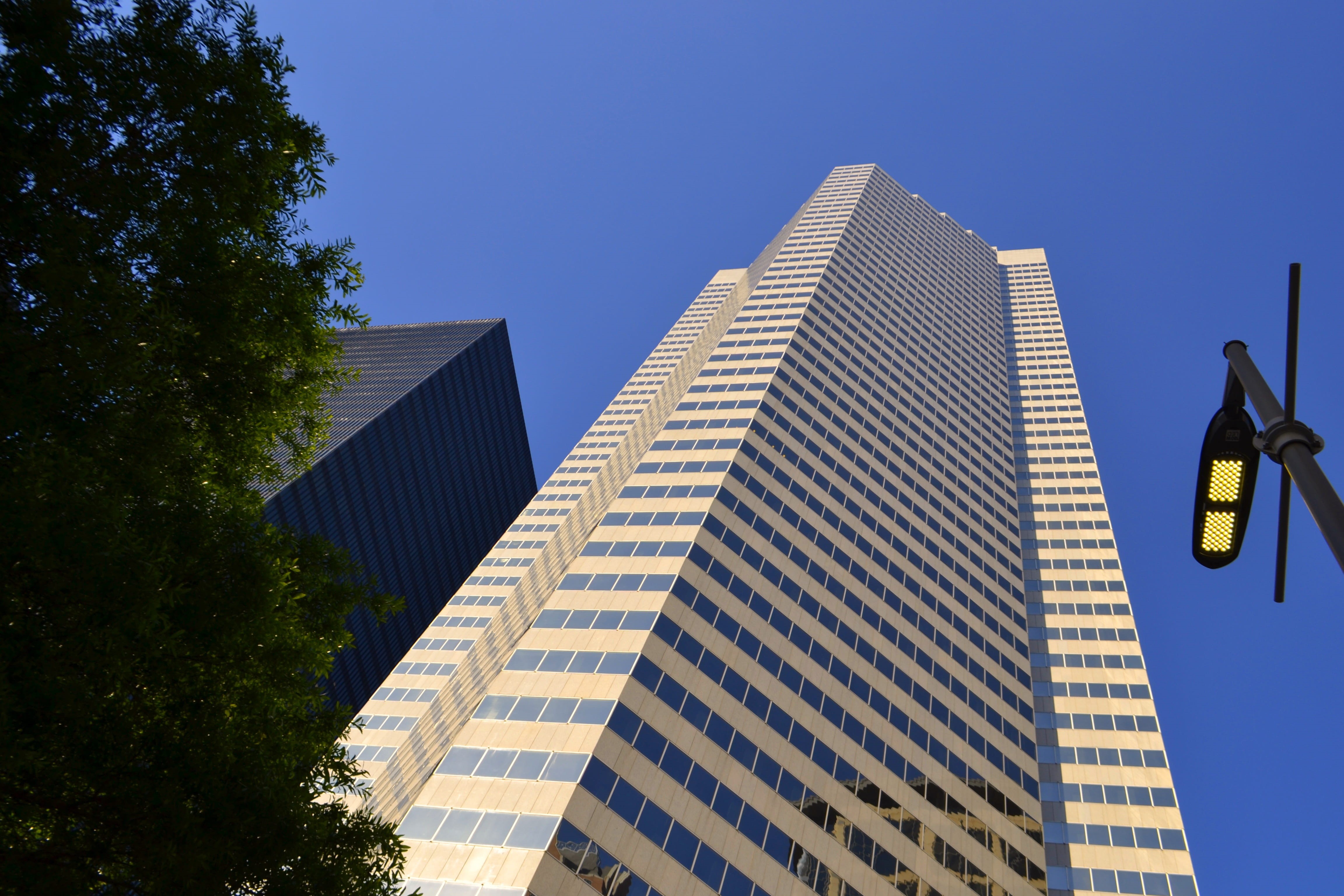 street light, plant, modern, motivation, architecture, day, inspiration, skyline, windows, low angle view, reflection, financial, power, japanese owned buildings, HD Wallpaper