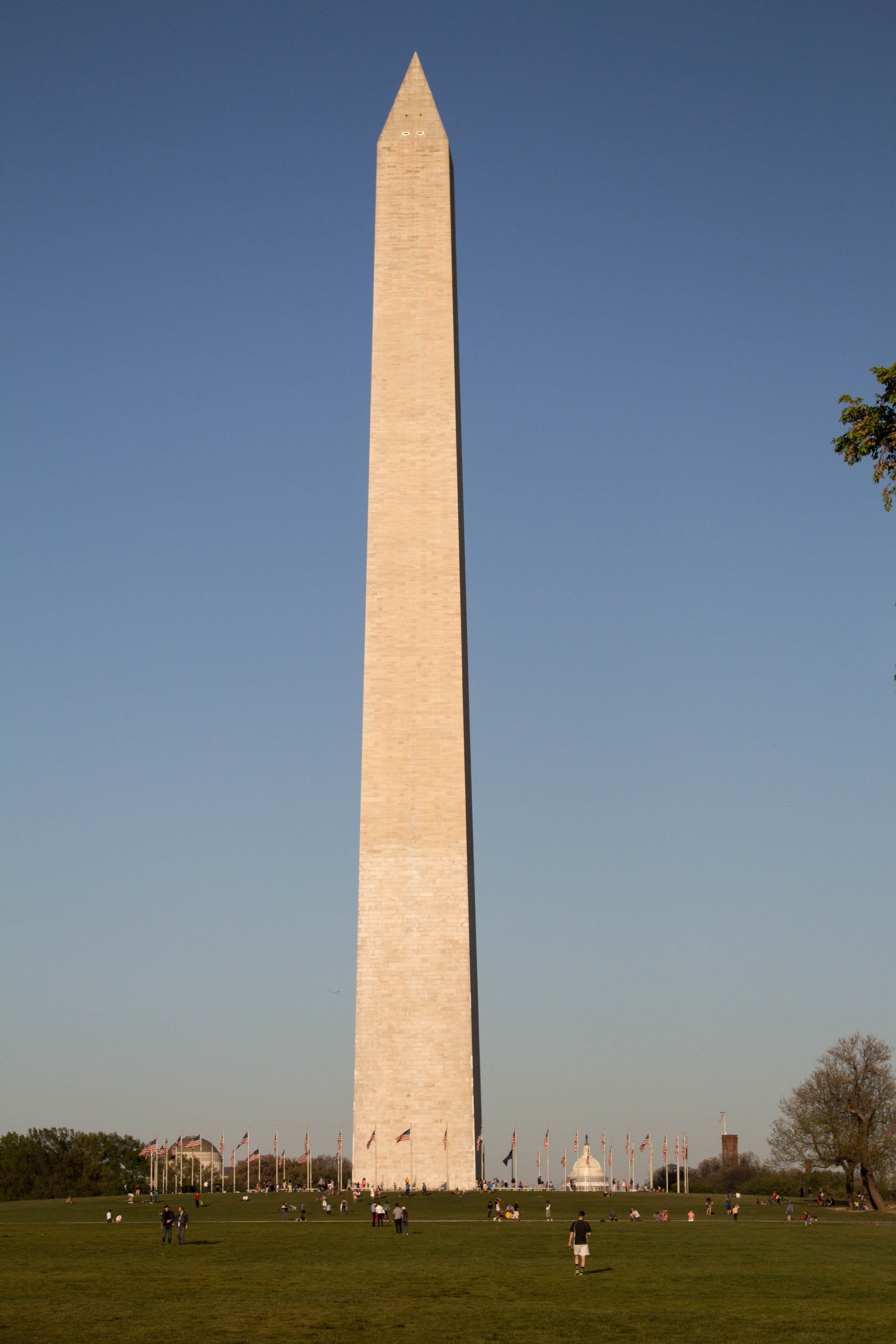 government, building, Washington Monument, plant, national, low angle view, clear sky, memorial, tall, travel destinations, obelisk, outdoors, height, people, Phone HD Wallpaper