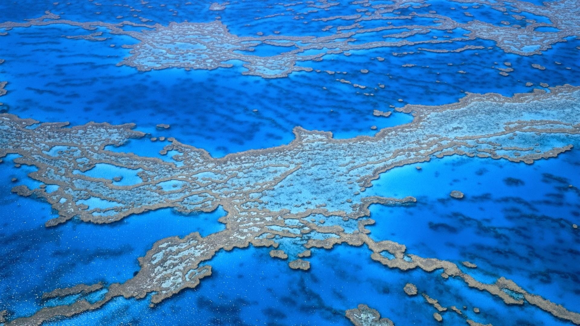 barrier, 1080P, reef, great, australia, HD Wallpaper