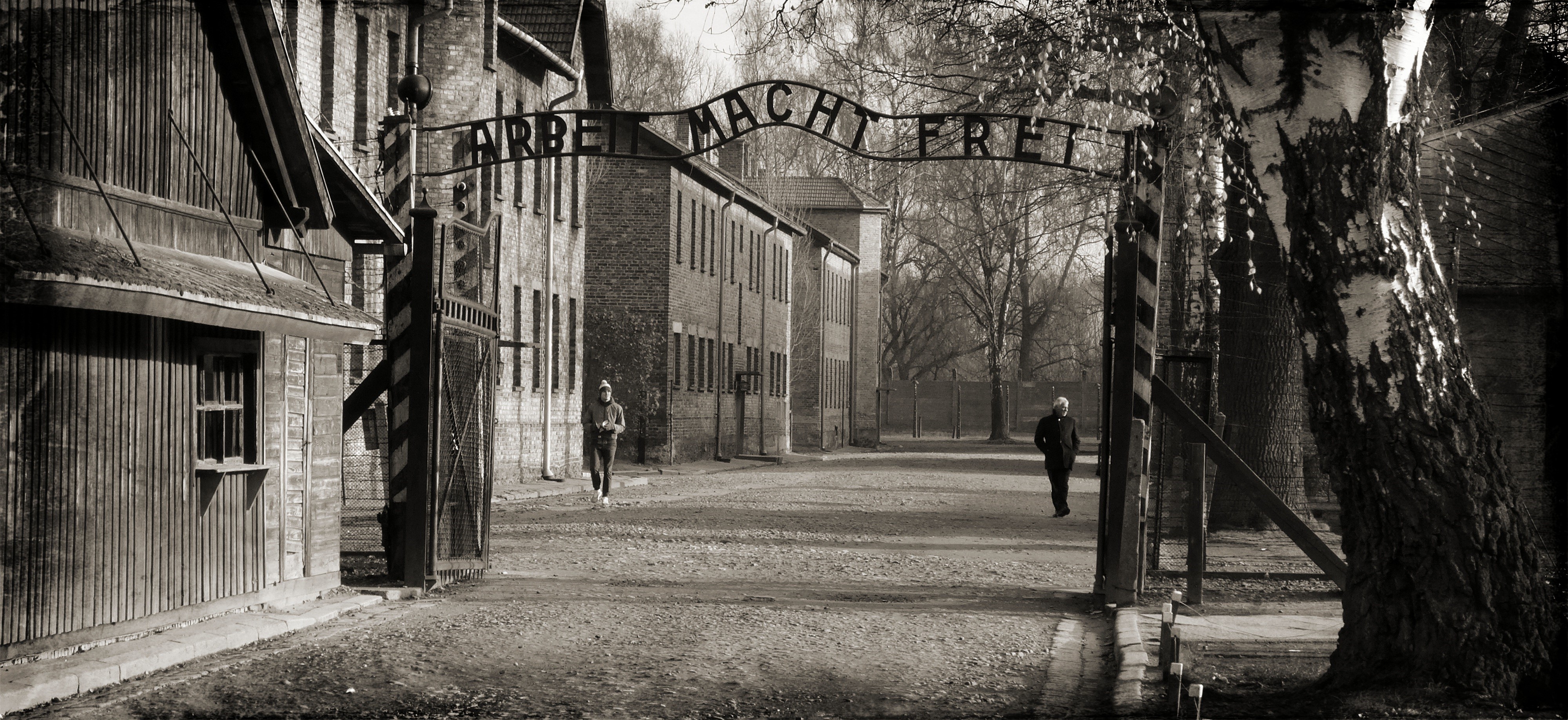 direction, tree, bare tree, photography, the museum, auschwitz, architecture, old, grayscale, macht, arbeit, no people, nature, building exterior, history, HD Wallpaper