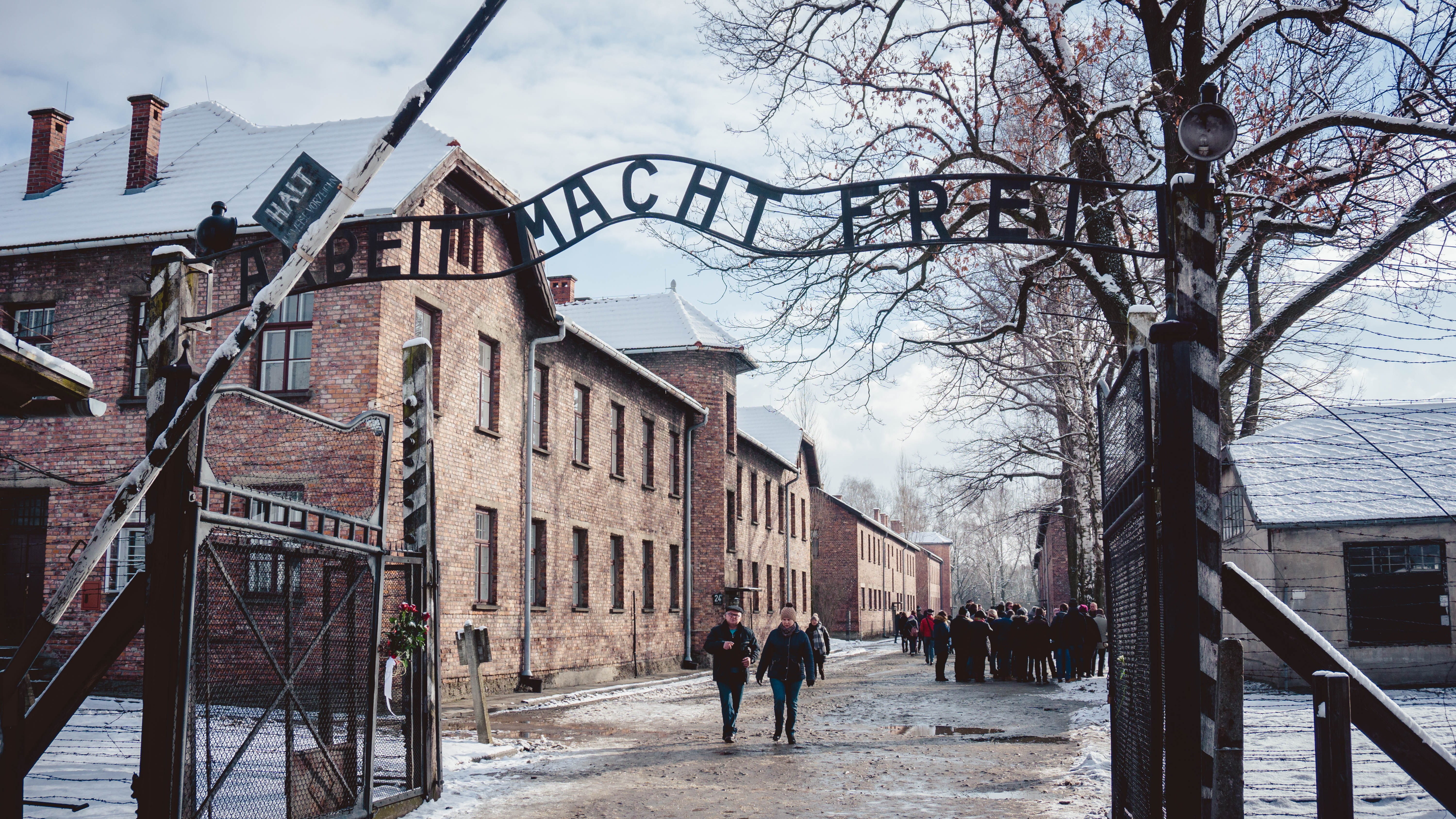architecture, poland, concentration, camp, prisoner, bare tree, group of people, men, sky, auschwitz, city, auschwitz i, street, oświęcim, nature, cloud - sky, HD Wallpaper
