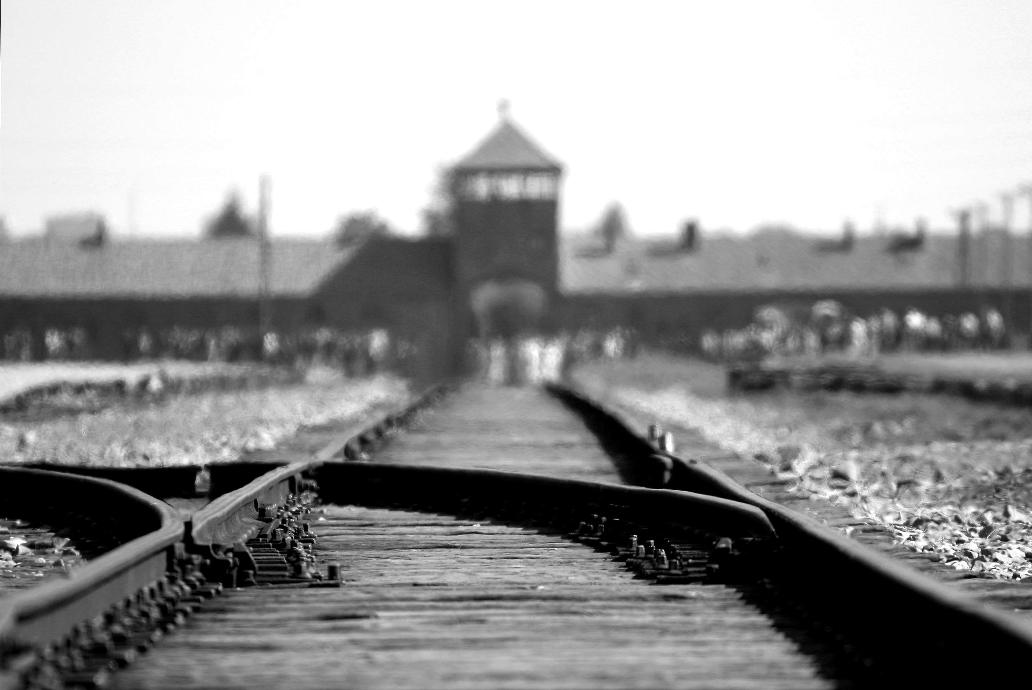 long, rail track, outdoors, rails, railway, track, the way forward, metal, no people, tracks, transportation, nature, surface level, depth of field, architecture, HD Wallpaper