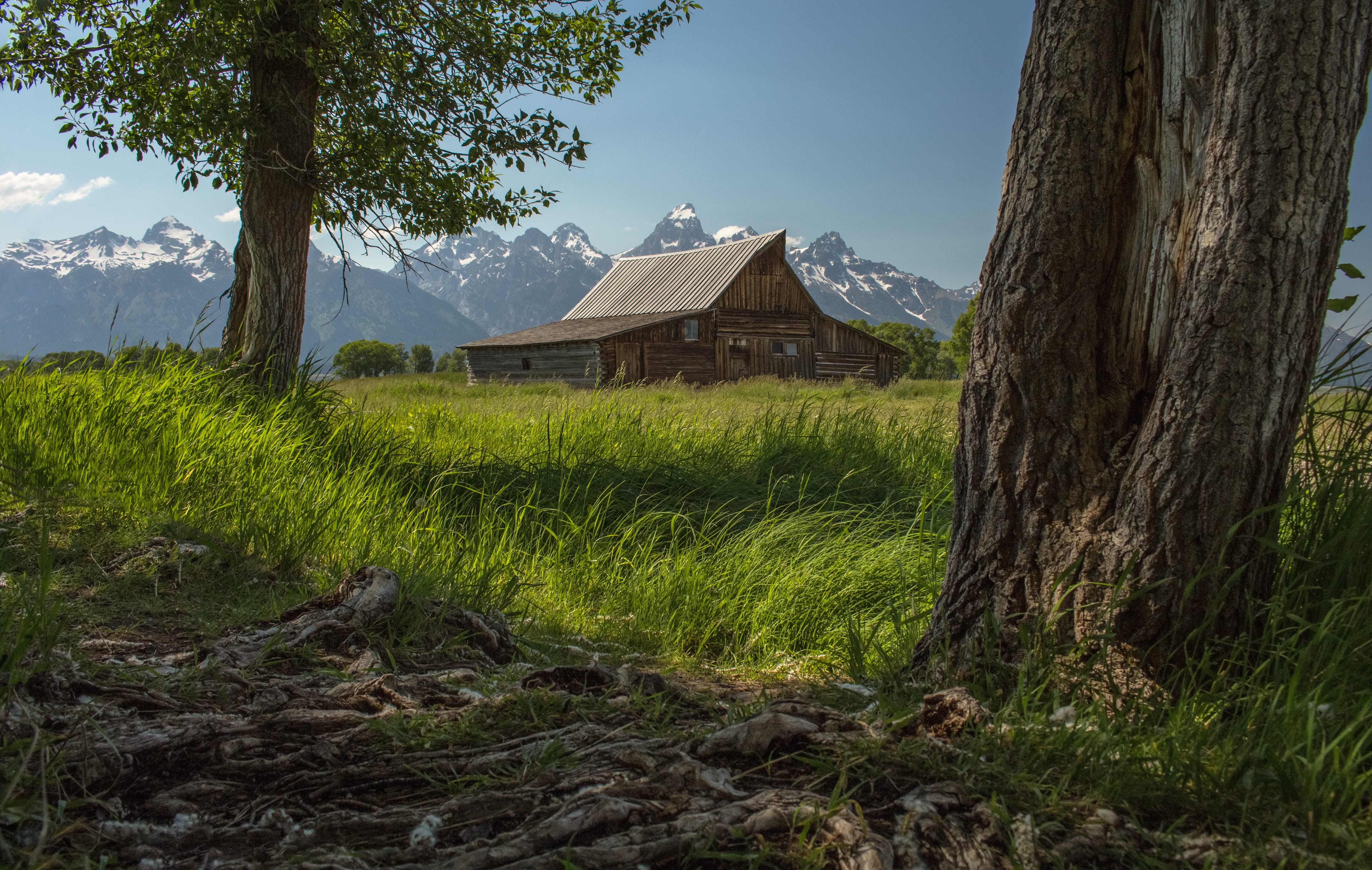 grand teton national park, housing, near, field, building, landscape, nature, sky, grand teton, oak, no people, growth, green, land, green color, HD Wallpaper