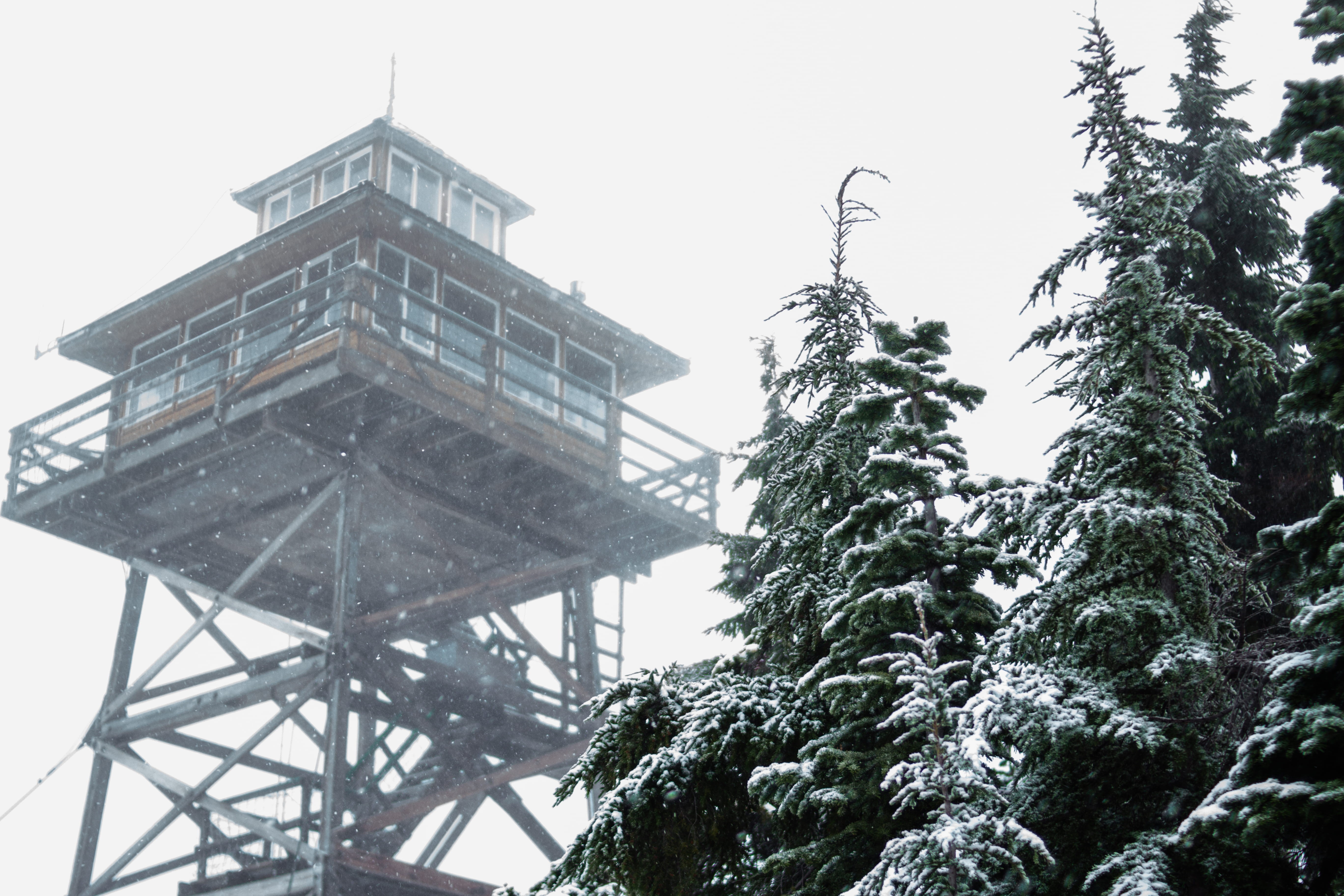 day, 5K, united states, outdoors, concrete, tall - high, plant, black, architecture, sky, covering, conifer, christmas tree, cabin, tower, fir, warner mountain lookout, HD Wallpaper