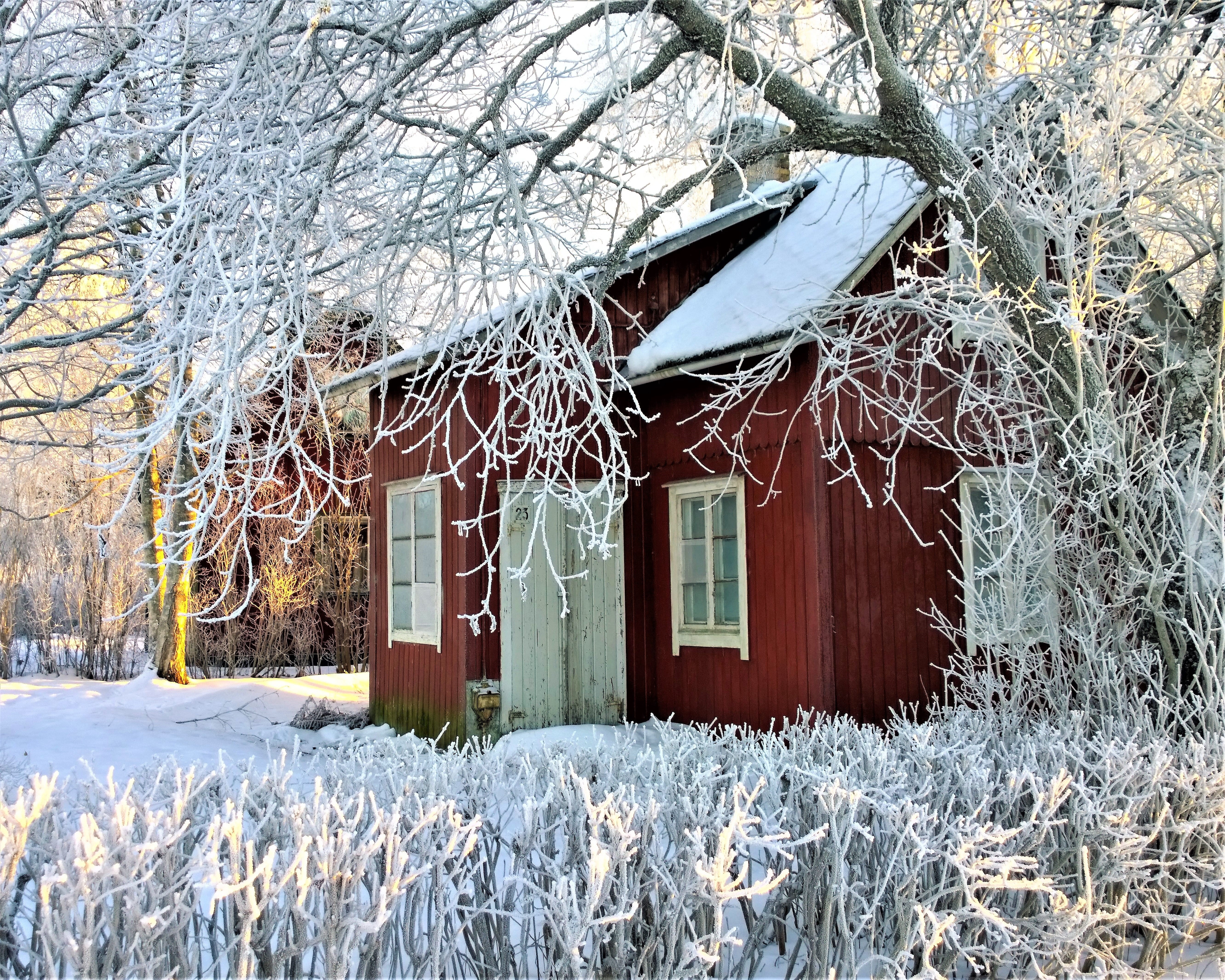 icicle, winter, badgers, tree, beautifully, no people, wooden, extreme weather, house, old house, cottage, facade, red, covering, frozen, building exterior, HD Wallpaper