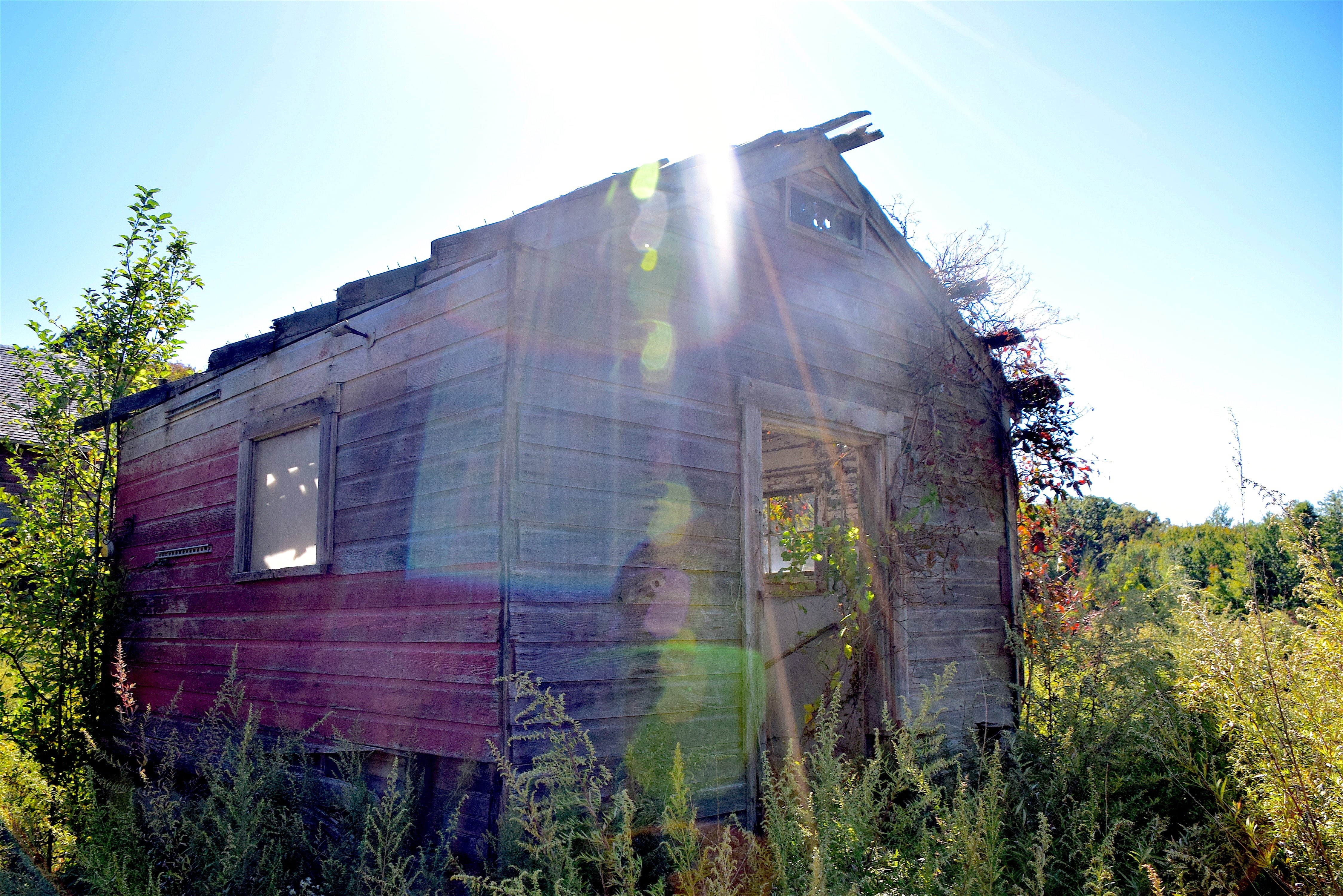 building exterior, ruined, clear sky, home, no people, architecture, wood, built structure, wooden, sunlight, shack, farm, damaged, 4K, old abandoned house, HD Wallpaper