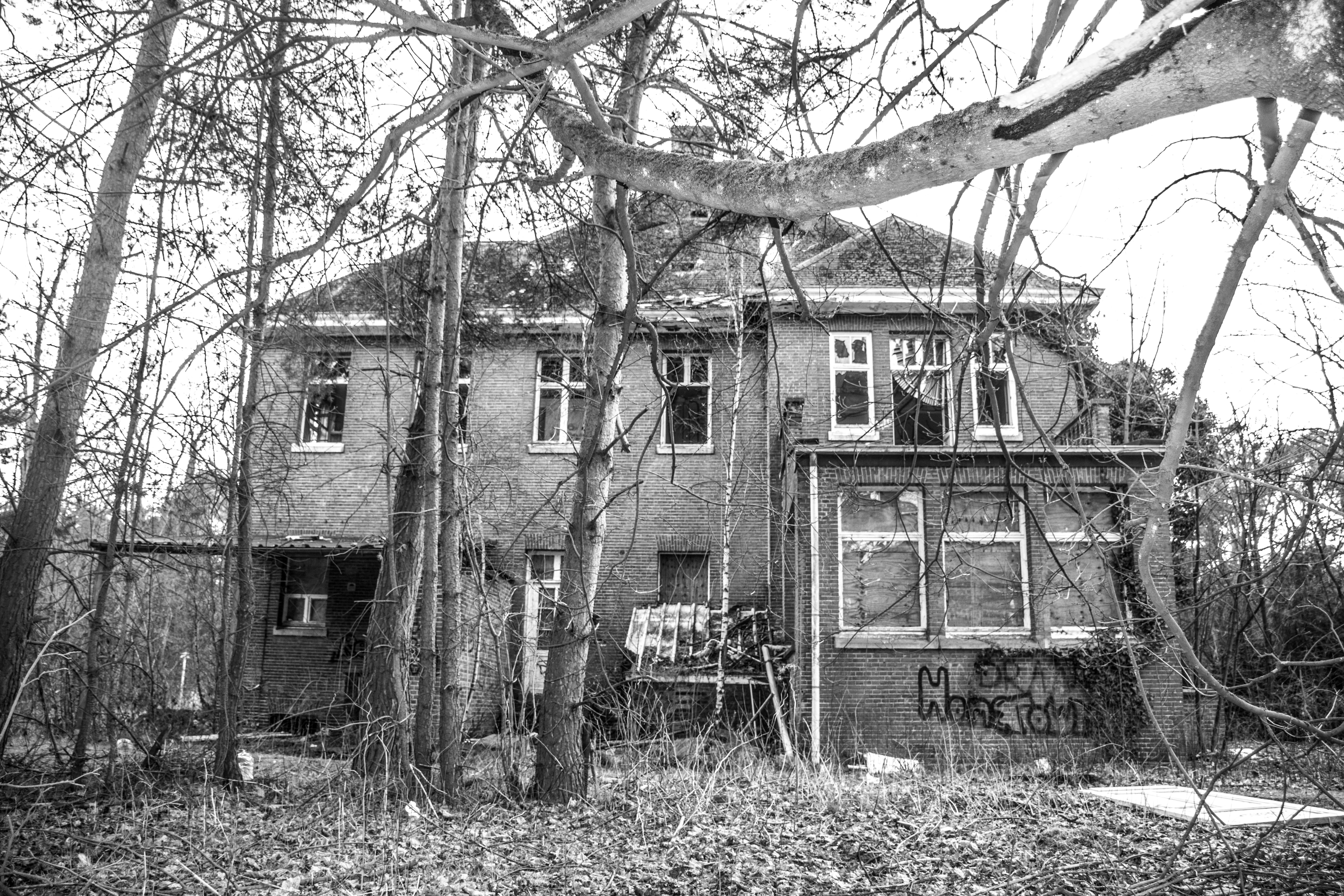 dead trees, house, land, obsolete, woods, vintage, abandoned building, decay, 5K, damaged, deterioration, photography, isolated, ladder, danger, building exterior, HD Wallpaper