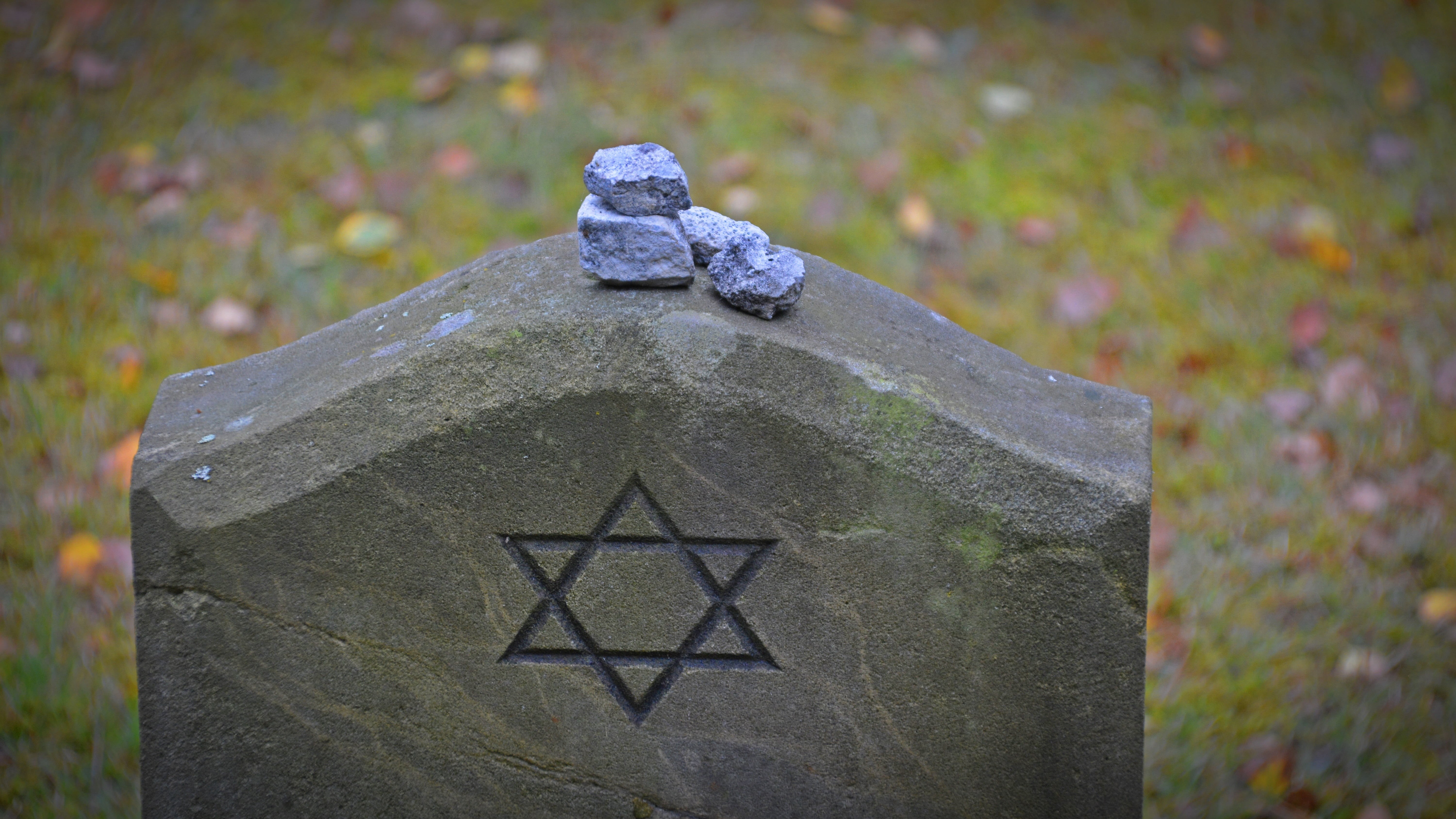 commemorate, kz, animals in the wild, tombstone, stone, no people, cemetery, holocaust, day, history, outdoors, 5K, concrete, focus on foreground, art and craft, HD Wallpaper