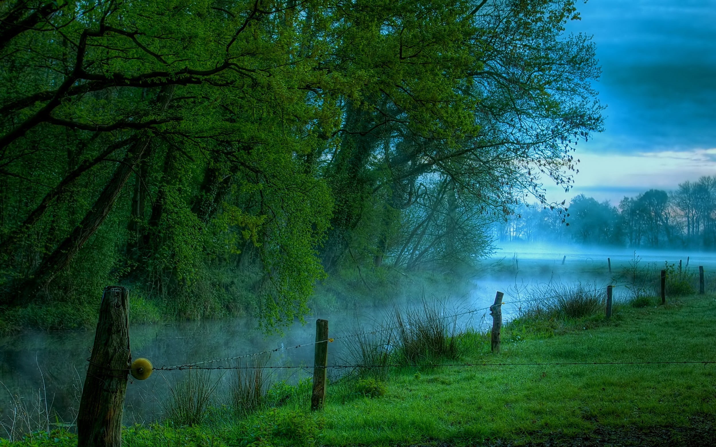 outdoors, river, tree, field, plant, beauty in nature, tranquility, non-urban scene, fence, nature, day, forest, boundary, 1080P, land, barbed wire, no people, HD Wallpaper