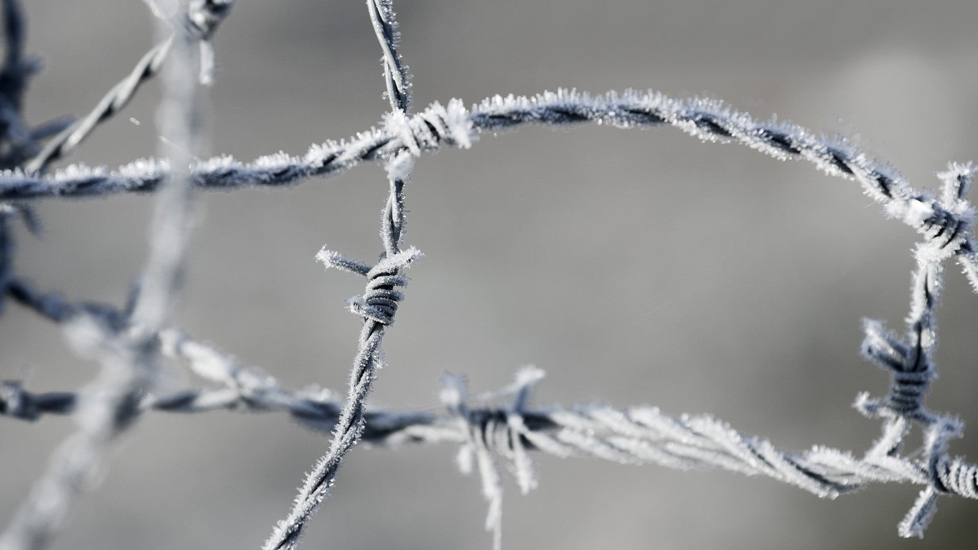 frozen, snowflake, no People, focus, pattern, beauty in nature, white, january, ice Crystal, shallow, rope, frost, blue, focus on foreground, season, backgrounds, HD Wallpaper