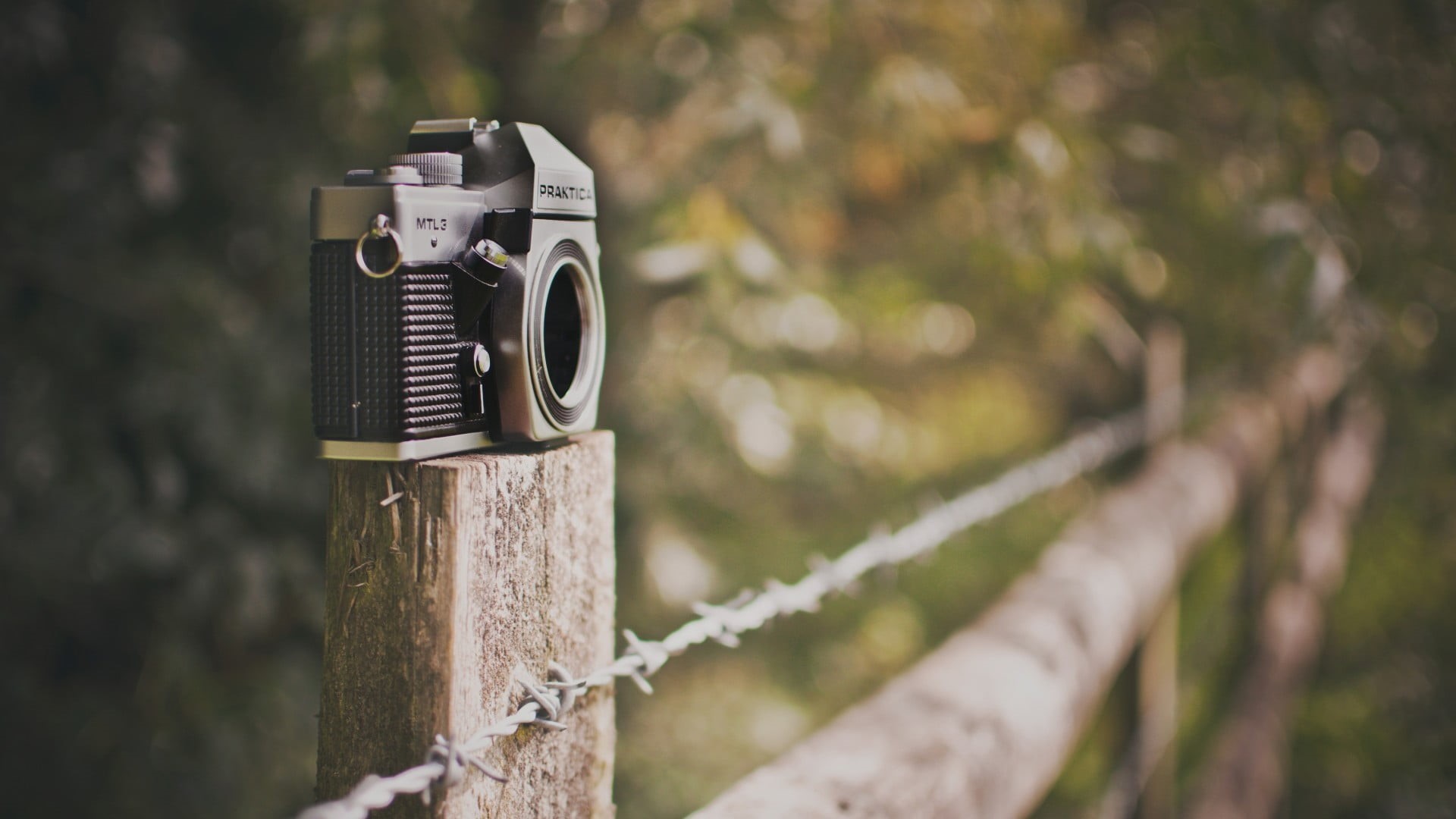 nature, wood - material, technology, depth of field, day, selective focus, 1080P, wooden post, tree, metal, barbed wire, no people, equipment, safety, HD Wallpaper
