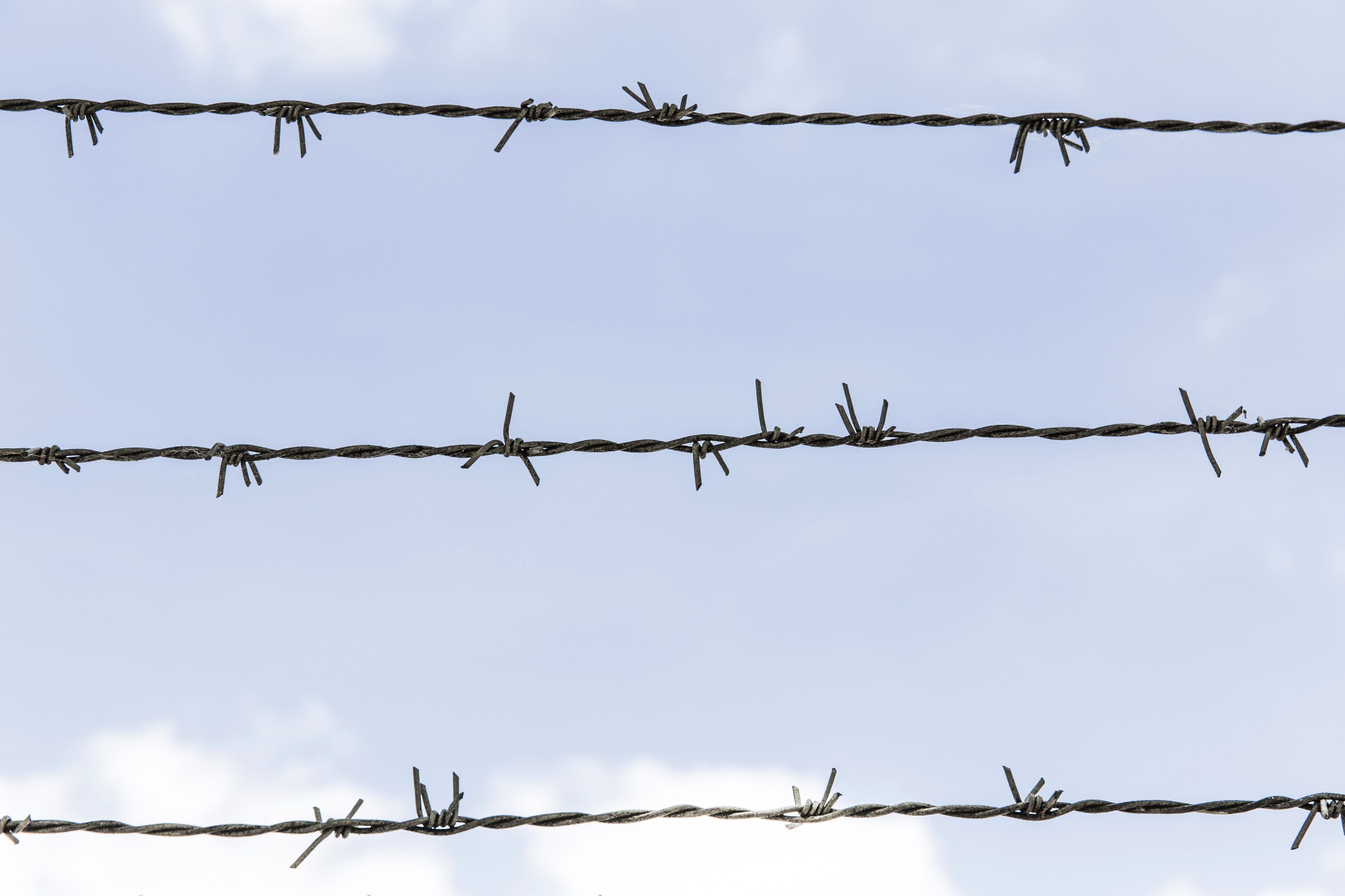 day, sharp, sign, barbed Wire, chainlink Fence, barrier, snow, alloy, no people, safety, wire, nature, security, warning sign, 5K, layer, steel, sky, protection, HD Wallpaper
