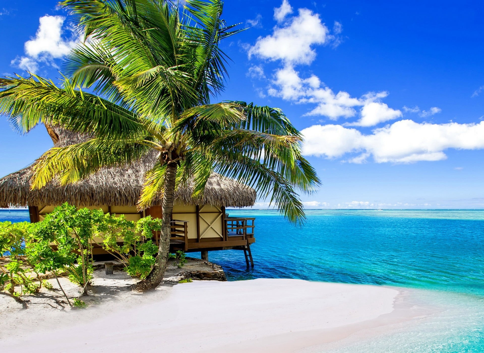 vacation, day, tranquility, palm trees, tranquil scene, beauty in nature, tropical, scenics - nature, water, palm tree, beach, outdoors, cloud - sky, summer, HD Wallpaper