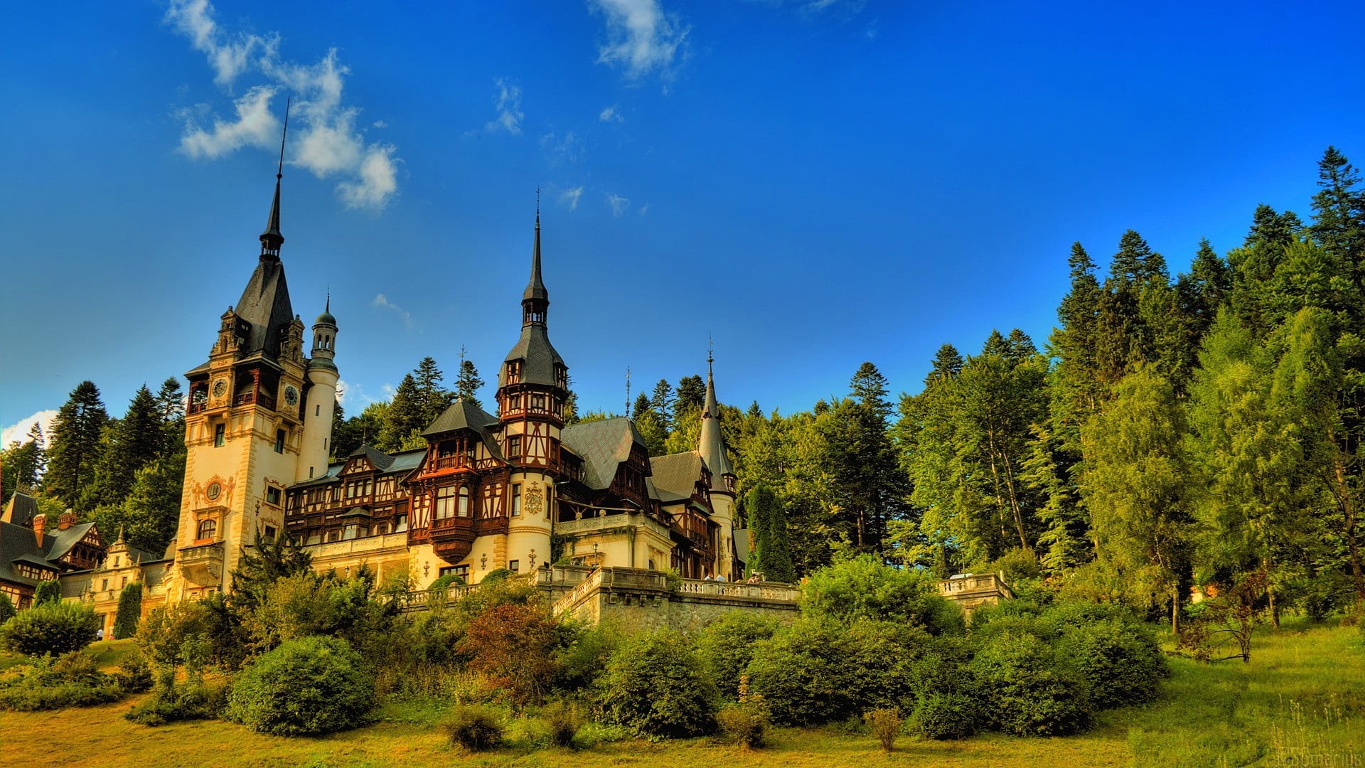 forest, trees, field, near, green color, architecture, place of worship, nature, travel destinations, landscape, castle, high, Tourism, plant, religion, HD Wallpaper