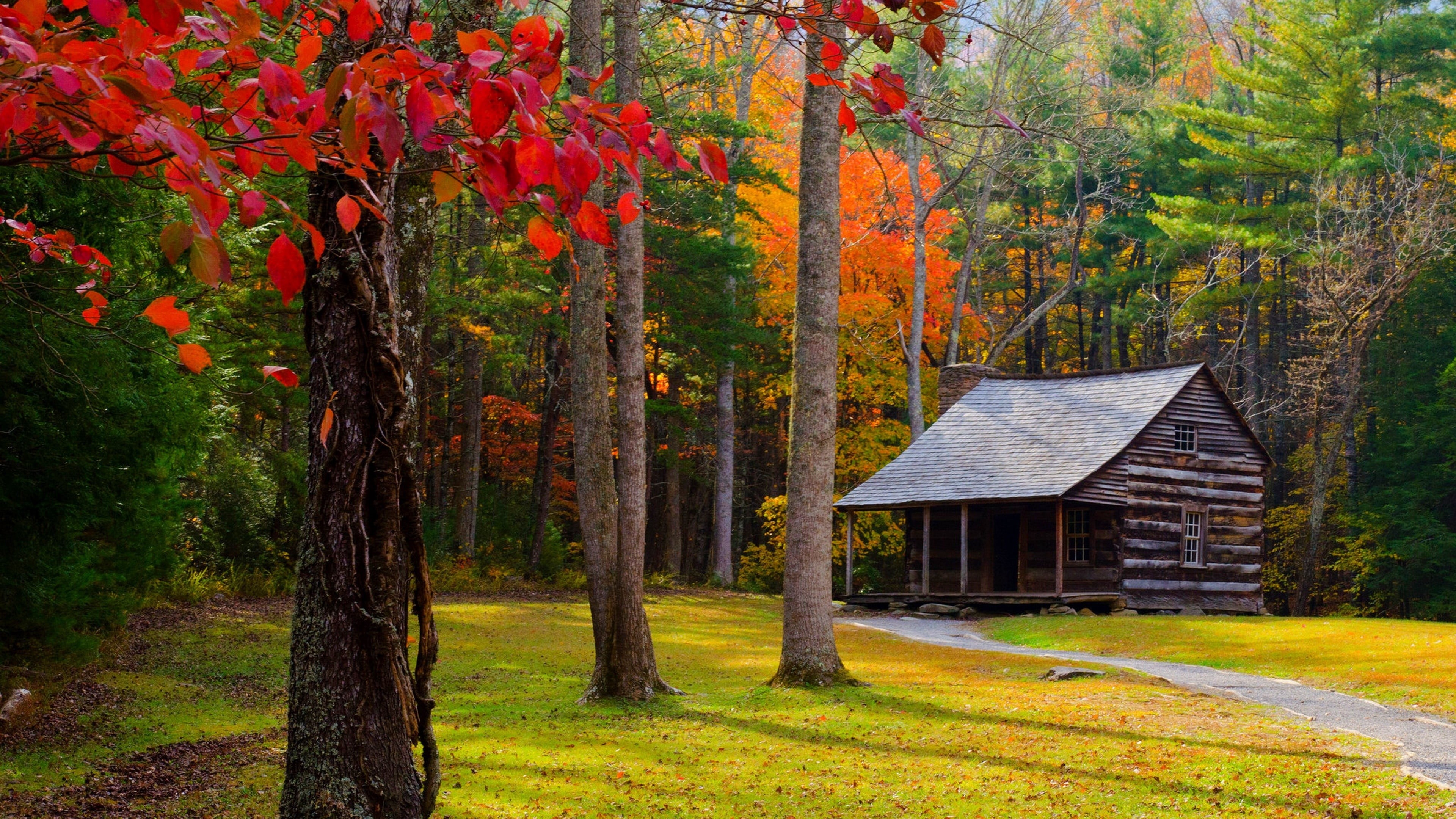 beauty in nature, biome, change, building, scenics - nature, log cabin, cabin, deciduous, day, autumn, landscape, tranquility, townsend, no people, shanty, HD Wallpaper