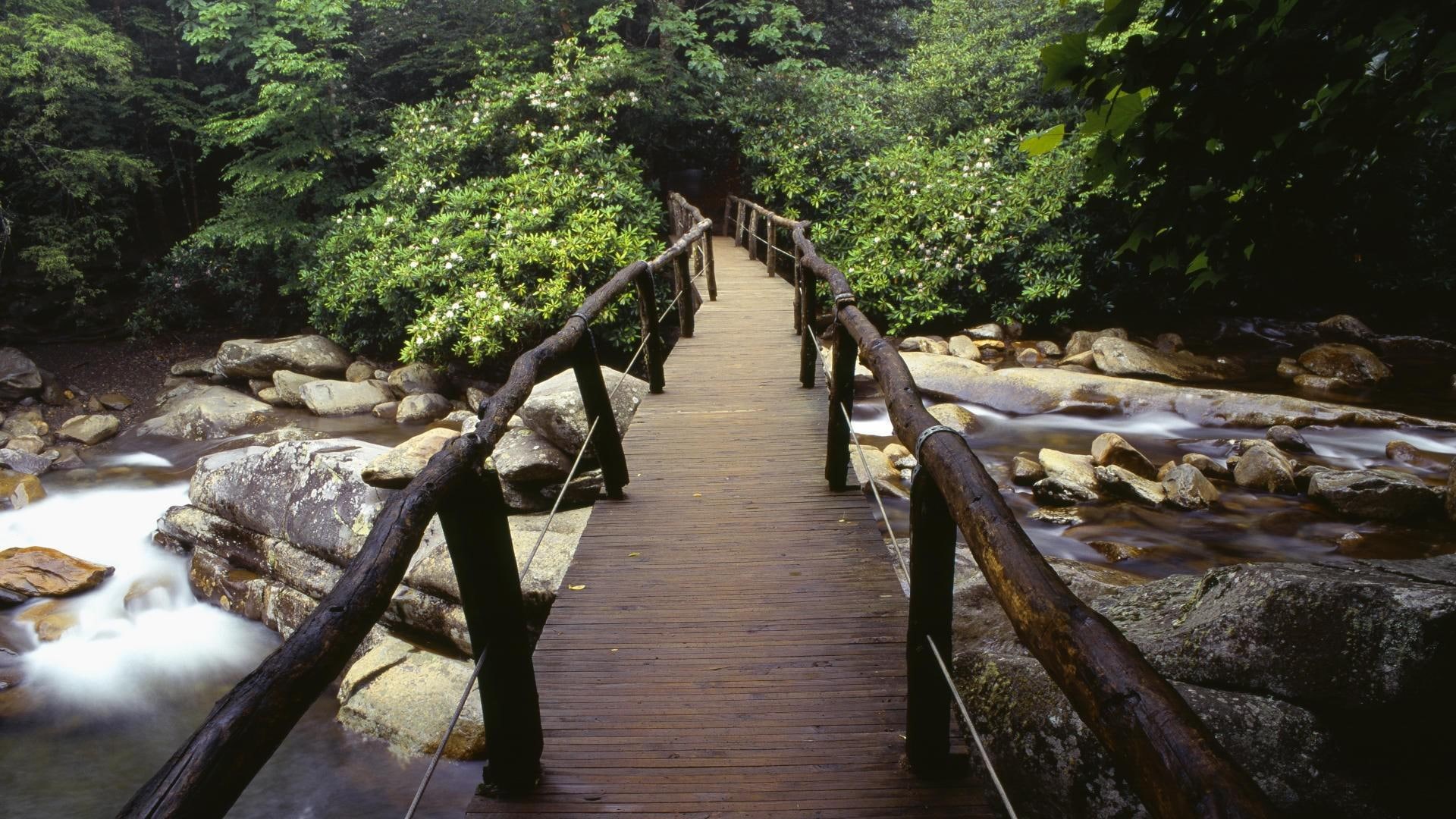 park, 1920x1080, 1080P, nature, smoky, wooden, great smoky mountains, tennessee, great, bridge, brown, national park, mountains, national, HD Wallpaper
