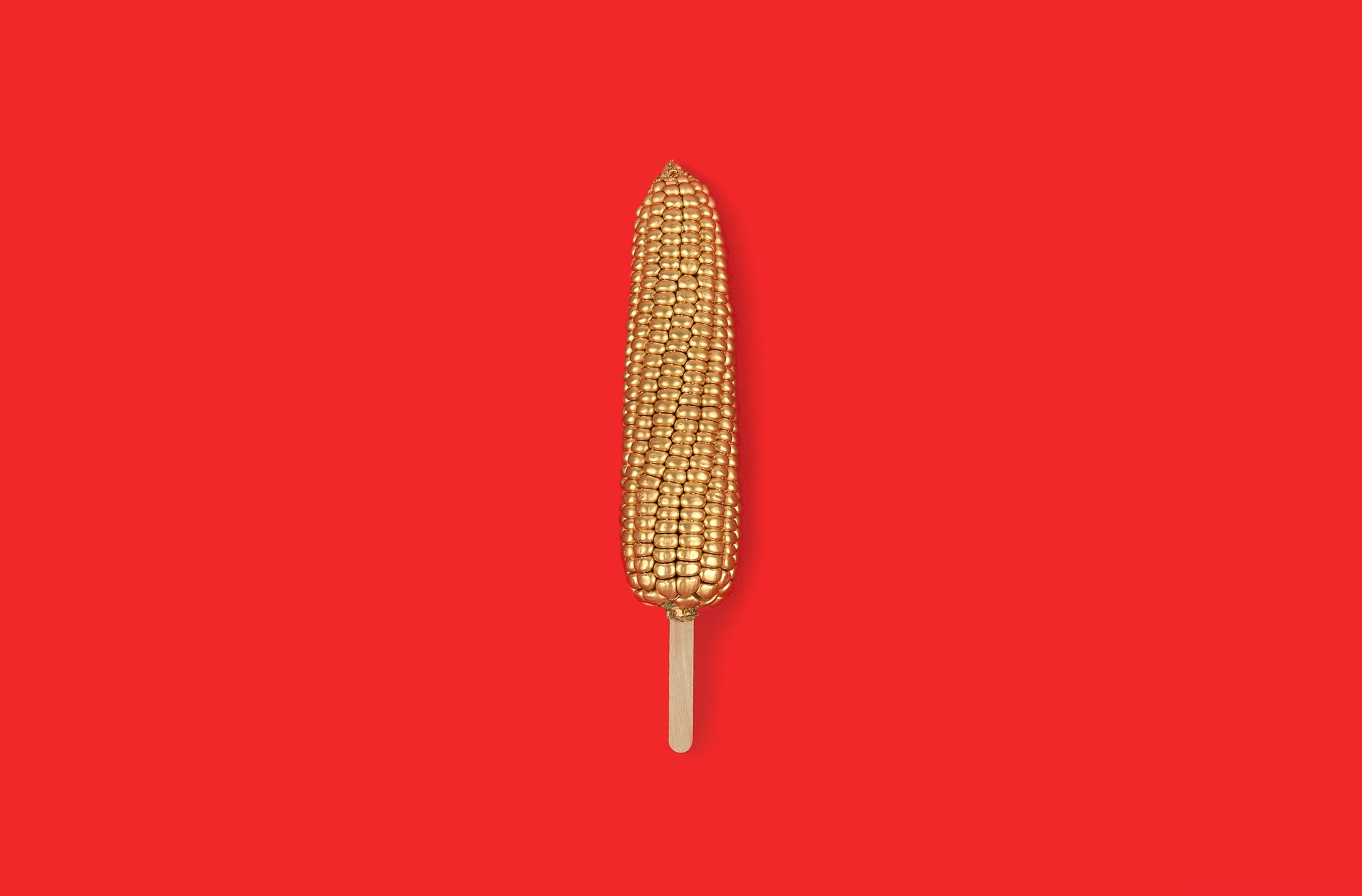 Creative, graphicdesign, Golden, 2K, Minimalism, redbackground, Minimalist, maize, Food and Drink, stick, Design, Background, Gold, Corn, HD Wallpaper