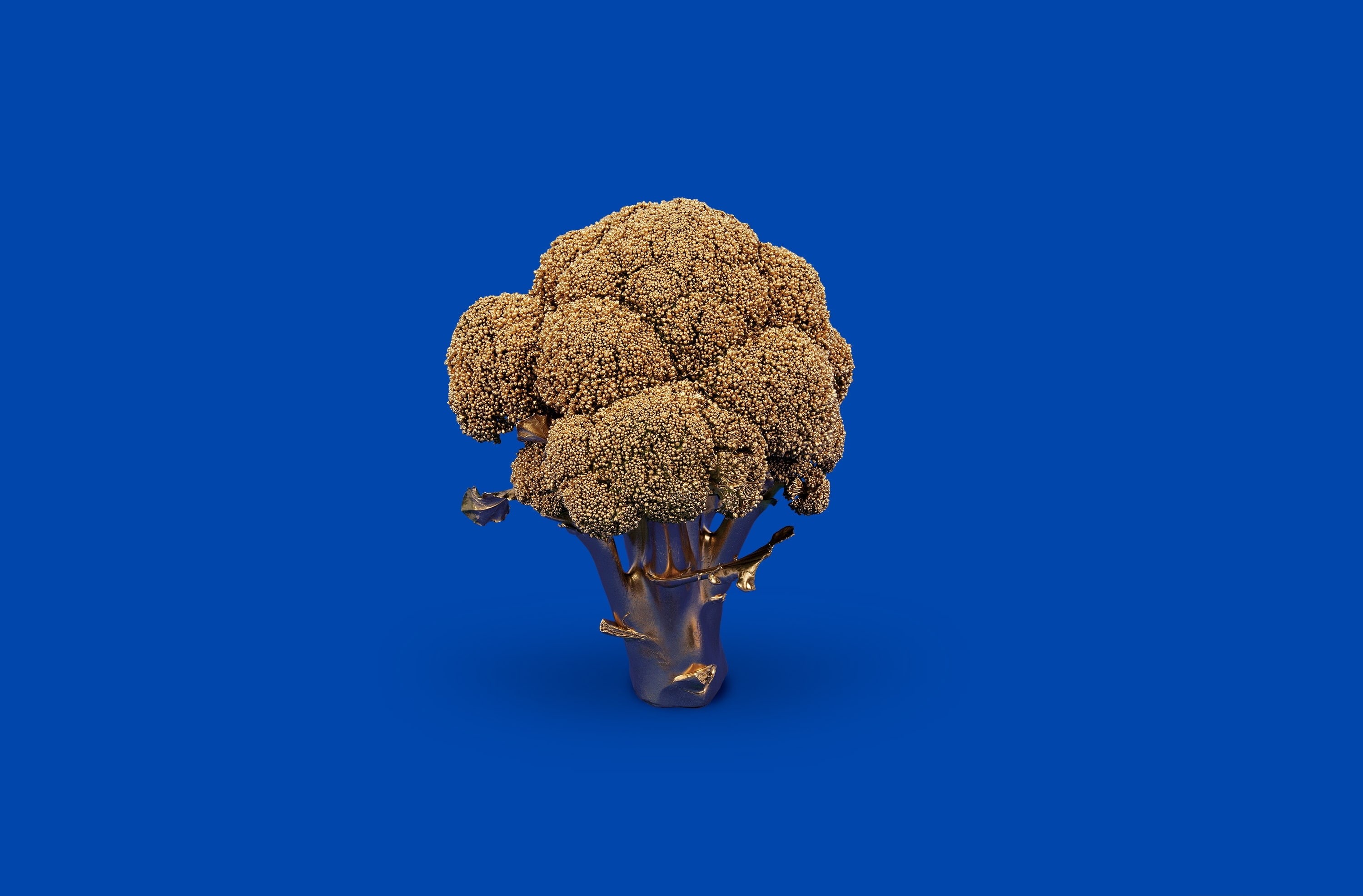 Gold, Golden, Design, Creative, broccoli, graphicdesign, Minimalist, vegetable, Background, 2K, Blue, Minimalism, Food and Drink, HD Wallpaper