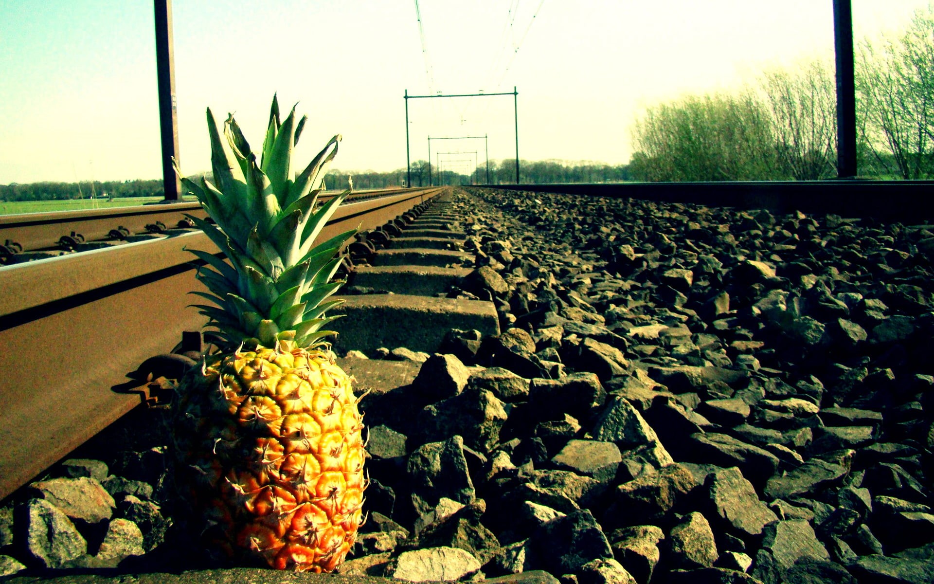 railway, pineapple, nature, food, fruit, pineapples, green, tropical fruit, wellbeing, outdoors, yellow, day, food and drink, 1080P, plant, growth, vegetable, HD Wallpaper