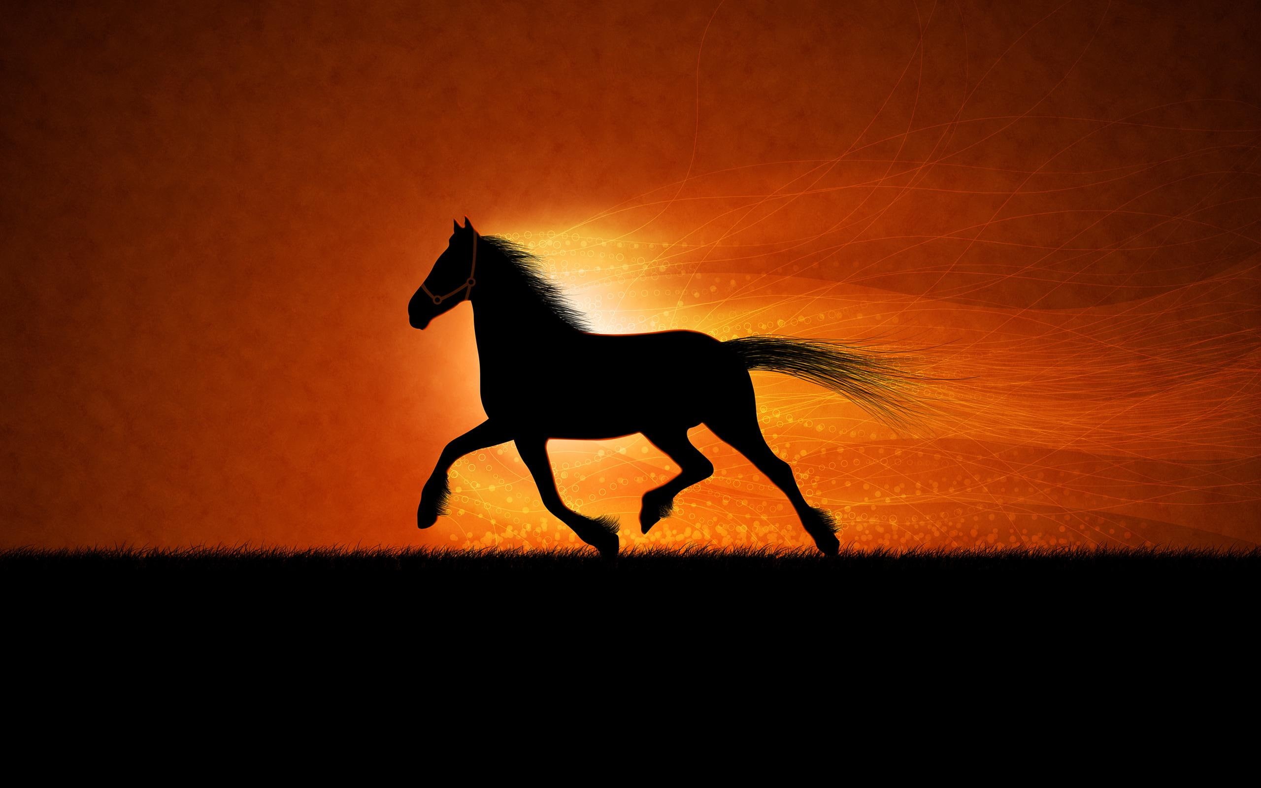 running, horse, creative and graphics, 2K, HD Wallpaper