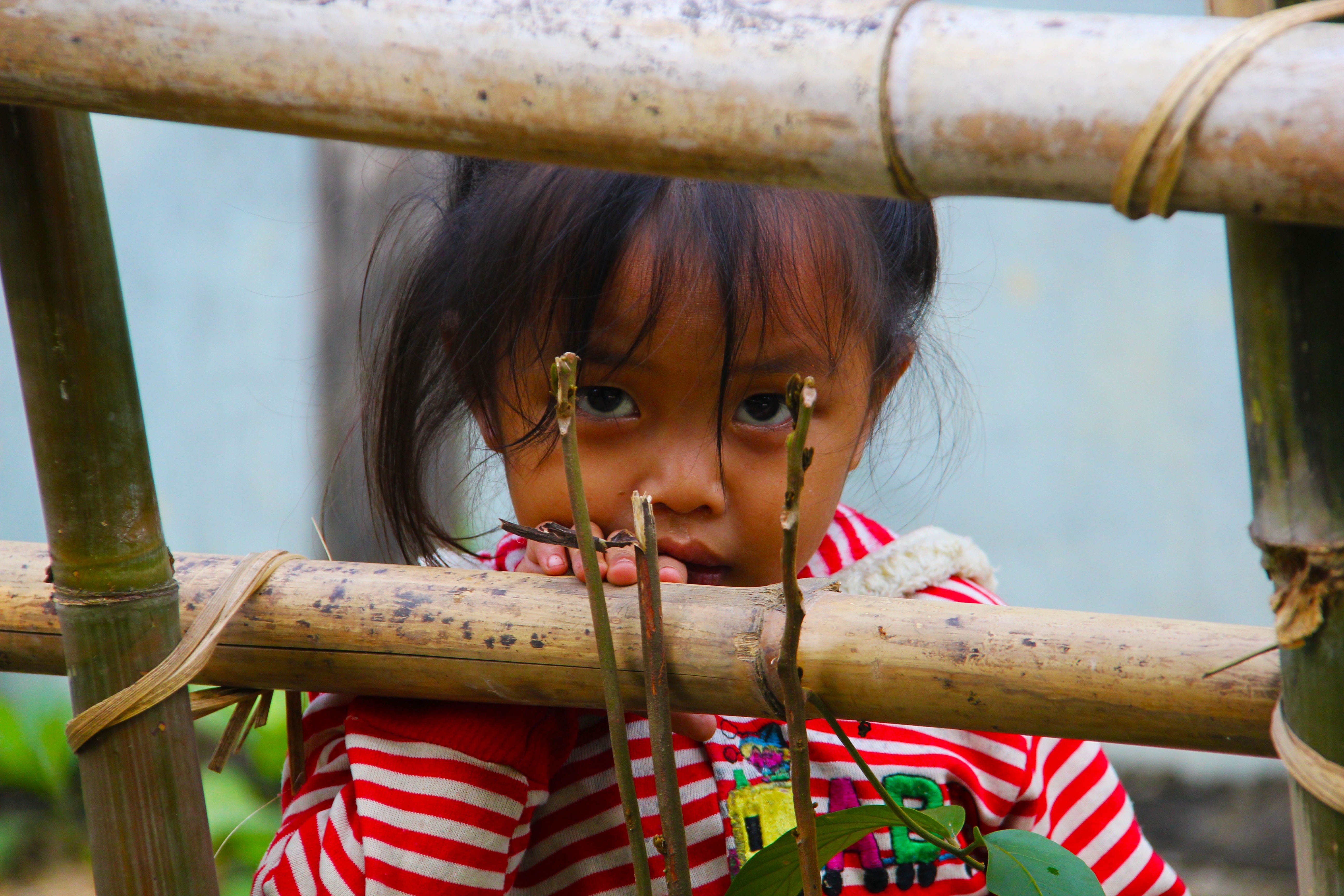 sad, child, red, poor, staring, one person, poverty, girls, cute, girl, outdoors, portrait, one girl only, female, looking at camera, real people, person, HD Wallpaper