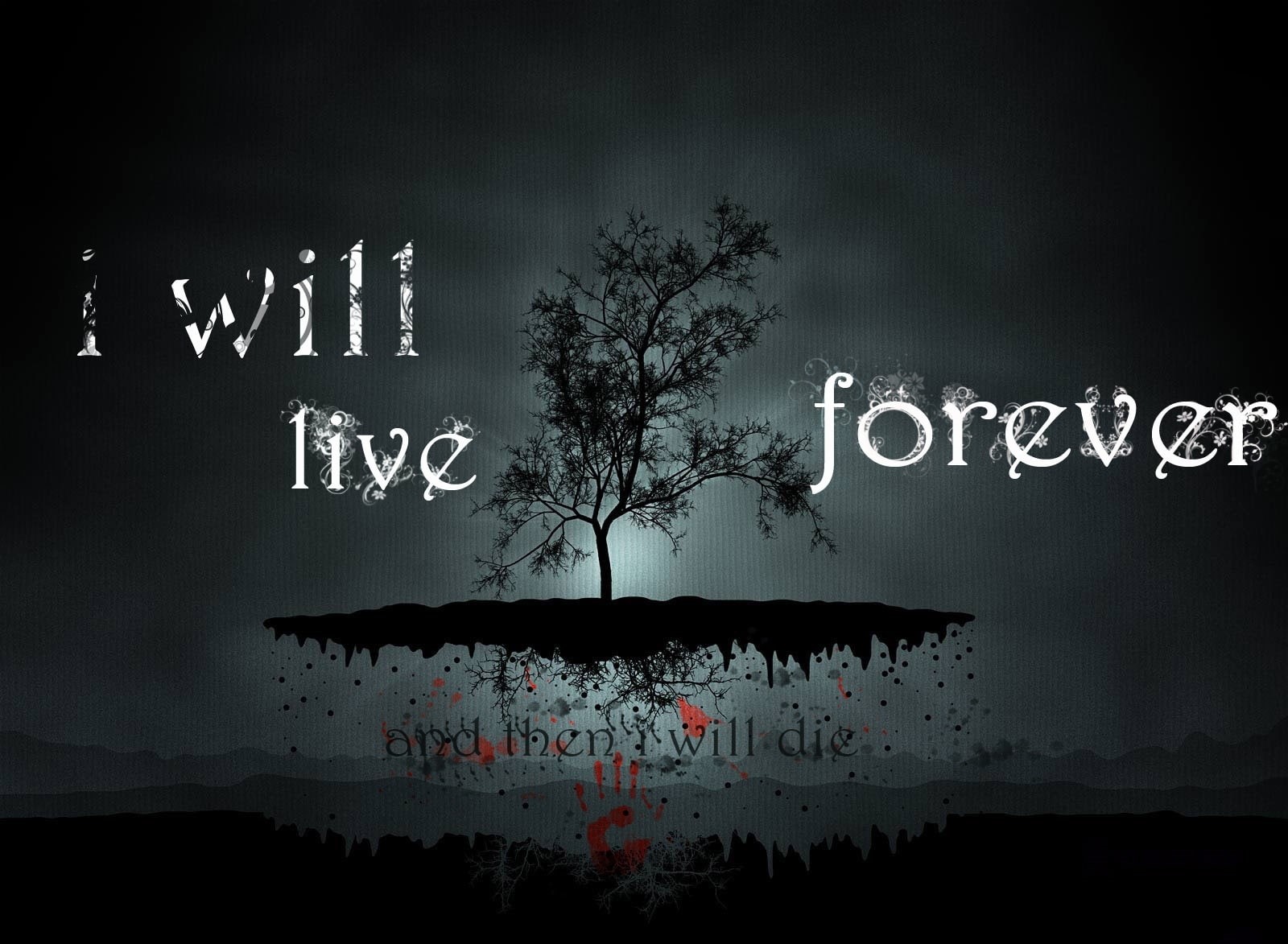 sky, will, text, capital letter, Black, communication, blackboard, Live, no people, Tree, sign, message, Aero, plant, wall - building feature, life, writing, HD Wallpaper
