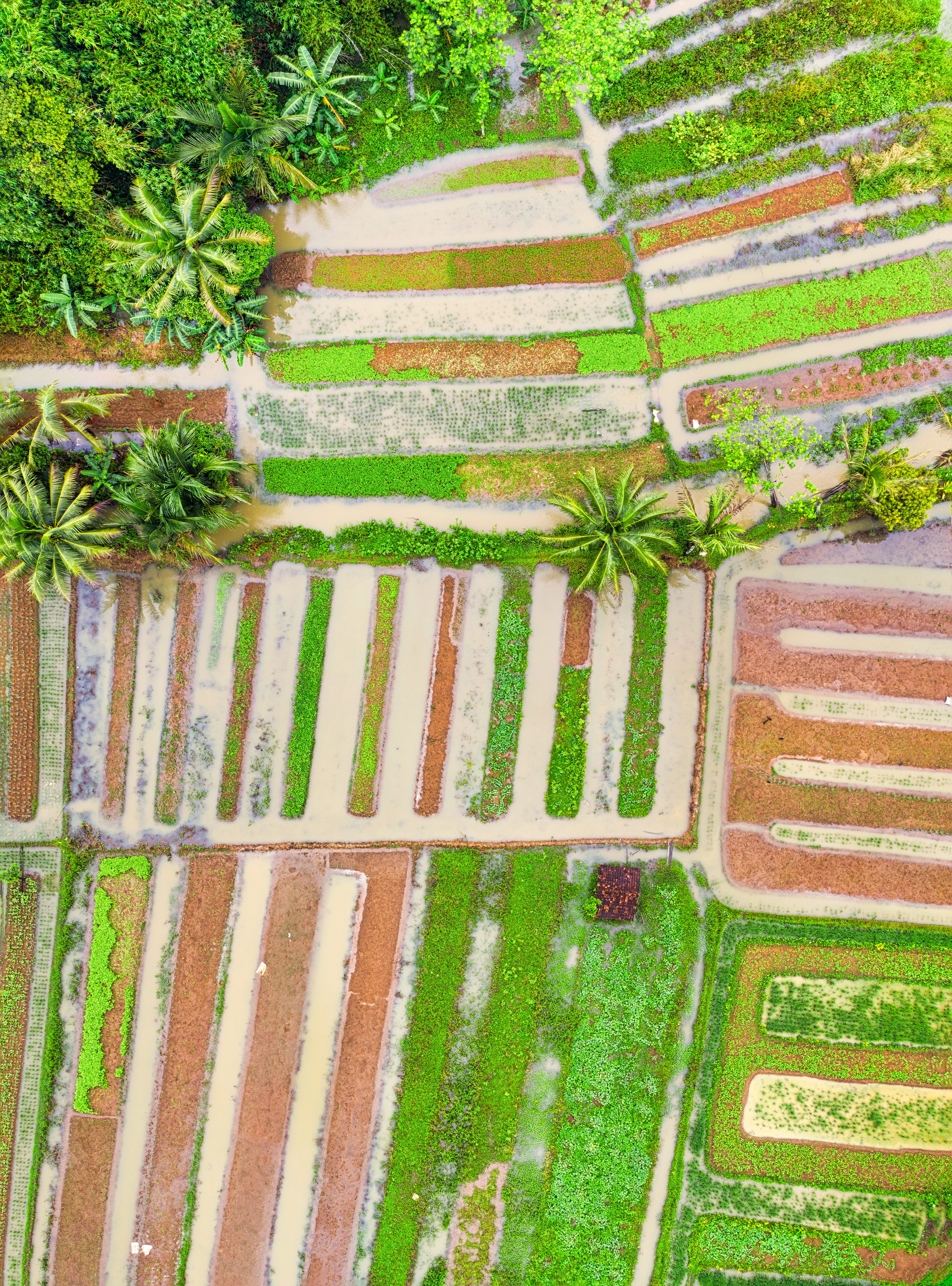 colors, old, 5K, plant, field, farmland, drone, built structure, design, cropland, background, summer, day, view, architecture, rural, town, beauty in nature, Phone HD Wallpaper