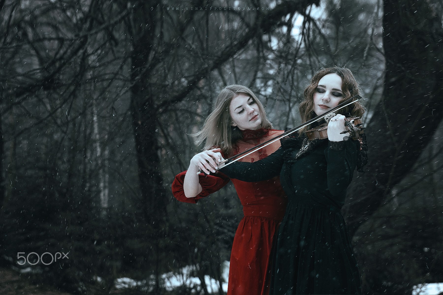 adult, women, beautiful woman, plant, hairstyle, music, real people, fantasy girl, violin, 720P, young adult, forest, winter, land, Shirø Igarashi, 500px, HD Wallpaper