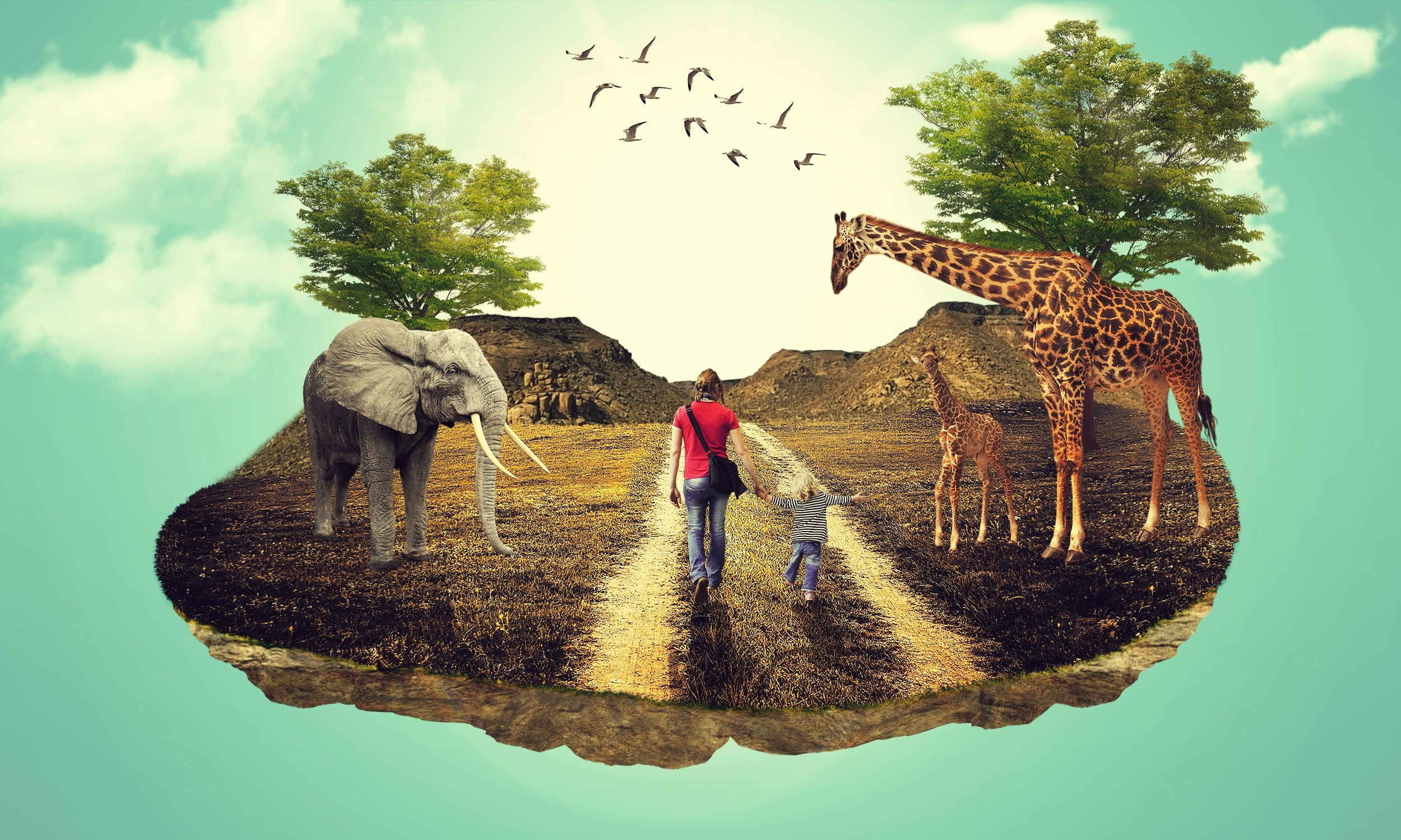 landscapephotography, lifestyles, rear view, photomanipulations, landscapedesign, adults only, adult, woman, only women, near, elephant, flying, cloud - sky, HD Wallpaper