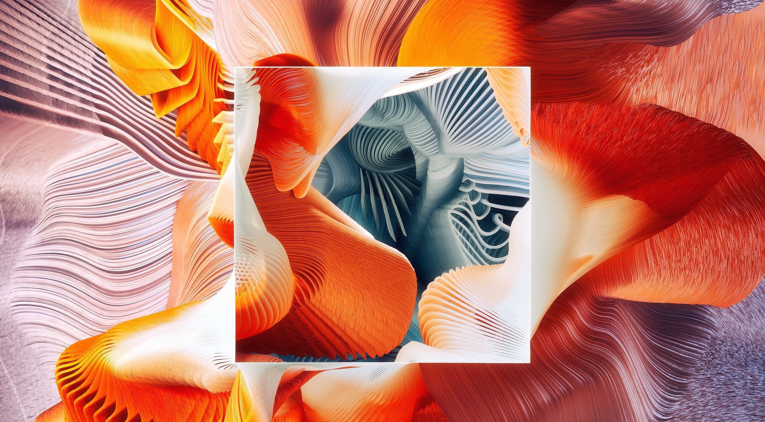biology, multi colored, close-up, group of objects, vibrant color, Artistic, orange color, digitalart, full frame, Square, 2K, striations, creativity, HD Wallpaper