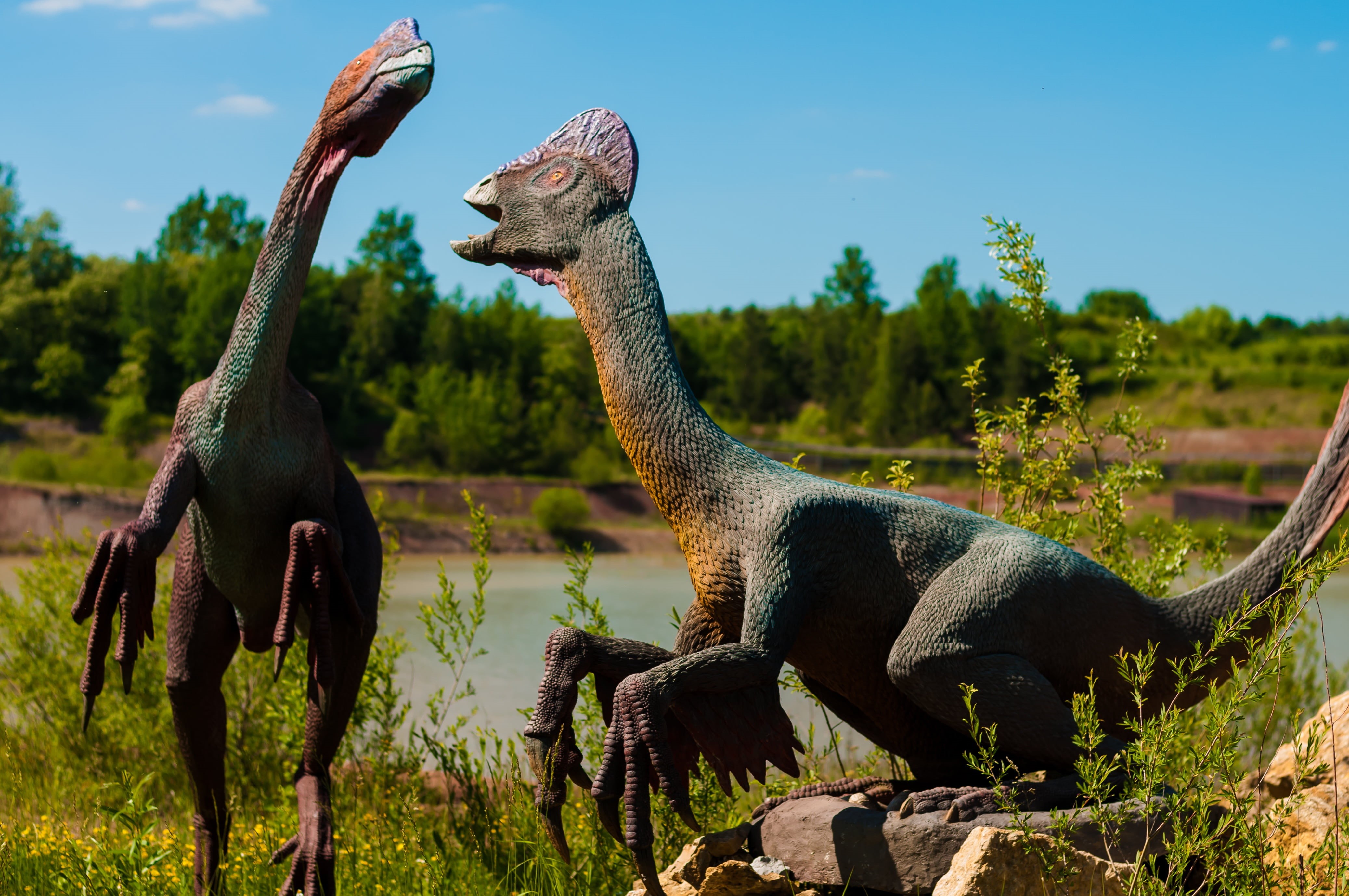 stegosaurus, evil, wildlife, monster, hunter, animantarks, sky, edmontosaurus, legs, lizard, the figurine, skeleton, paleontology, exhibition, large, vertebrate, HD Wallpaper