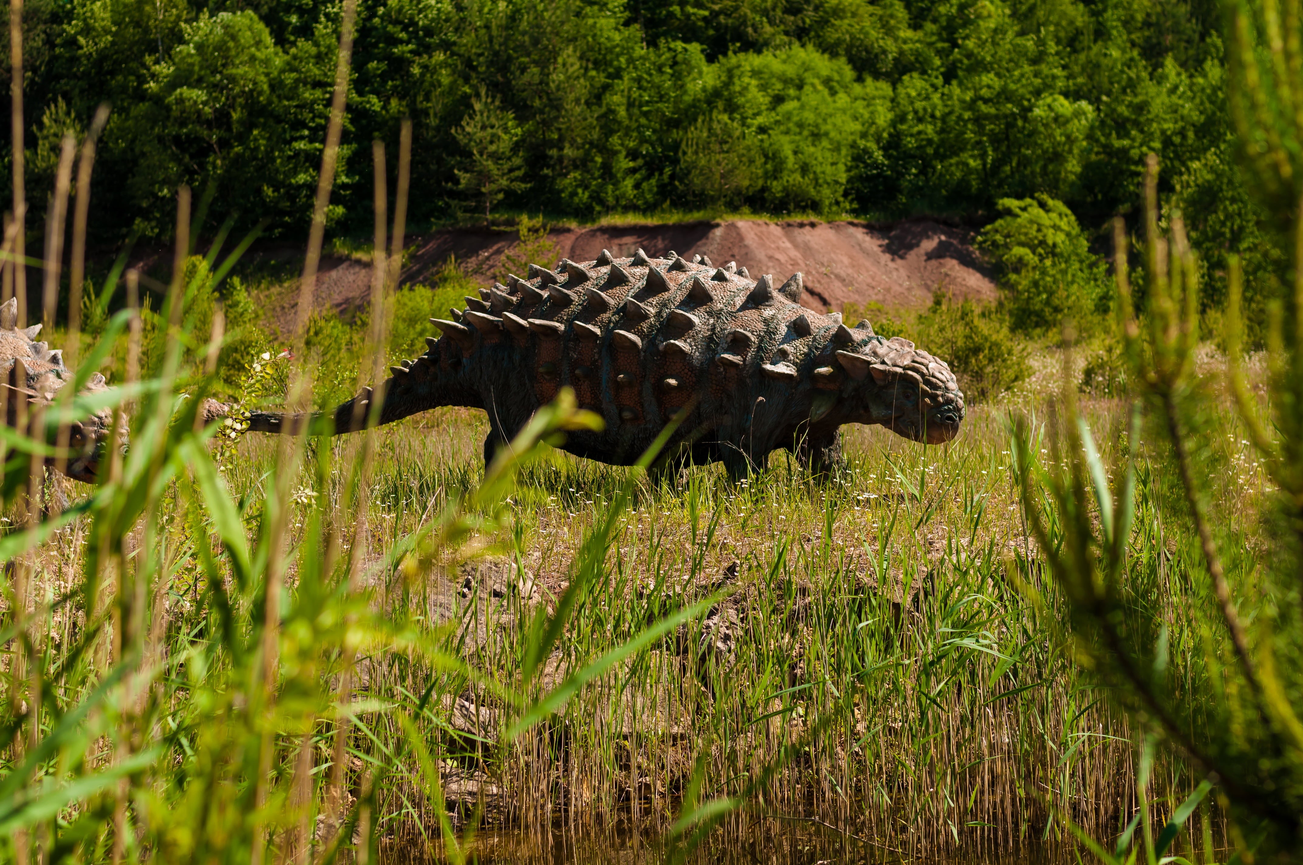 no people, prehistoric, 4K, one animal, military, lizard, the figurine, giganotosaurus, terrible, jaws, plant, quetzalcoatlus, forest, giant, animal, war, HD Wallpaper