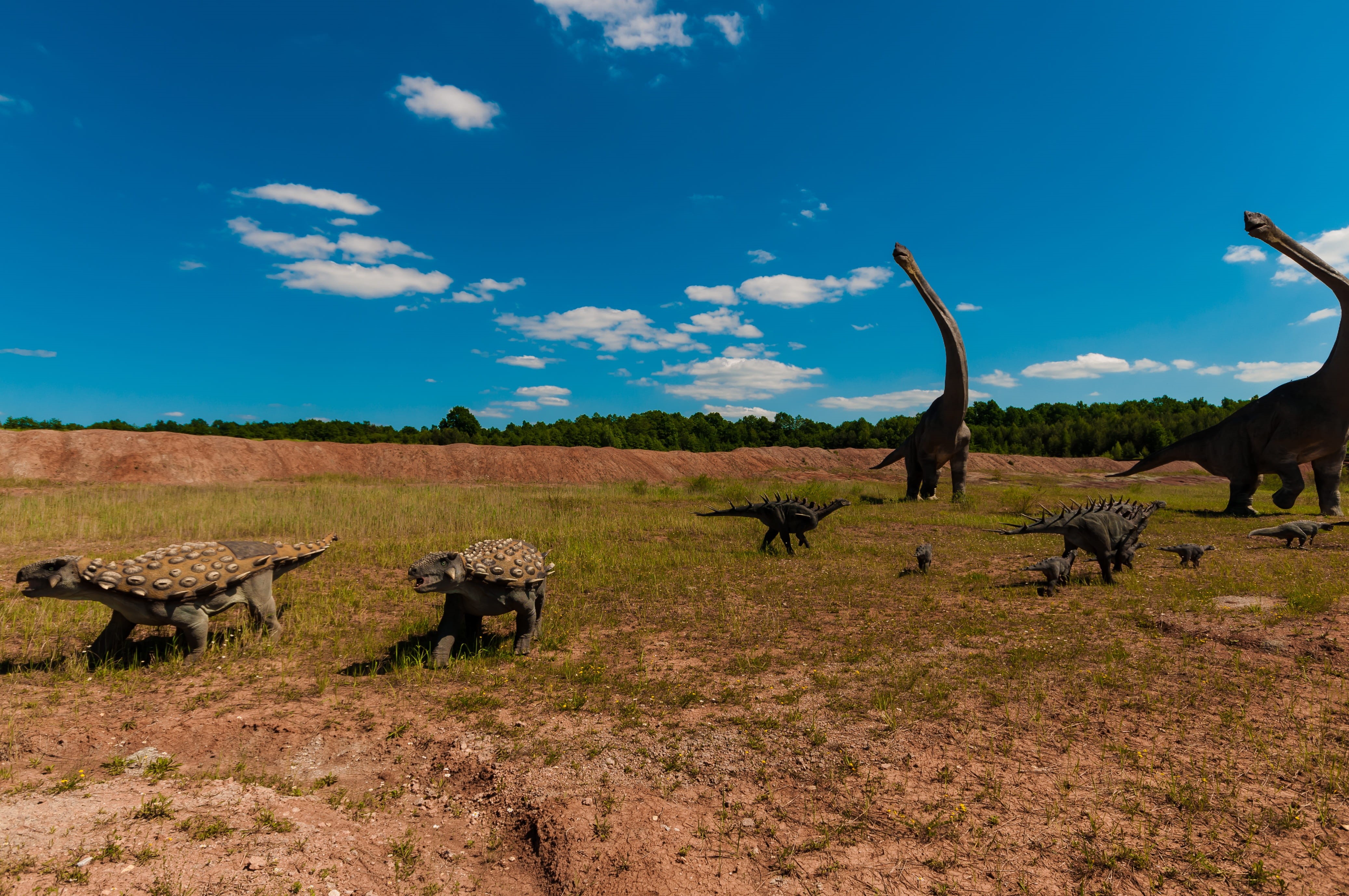 quetzalcoatlus, walking, beauty in nature, dino, iguanodon, ceratopsians, nature, theropods, grass, monstrous, Dinosaur, hunter, group of animals, stegosaurus, HD Wallpaper